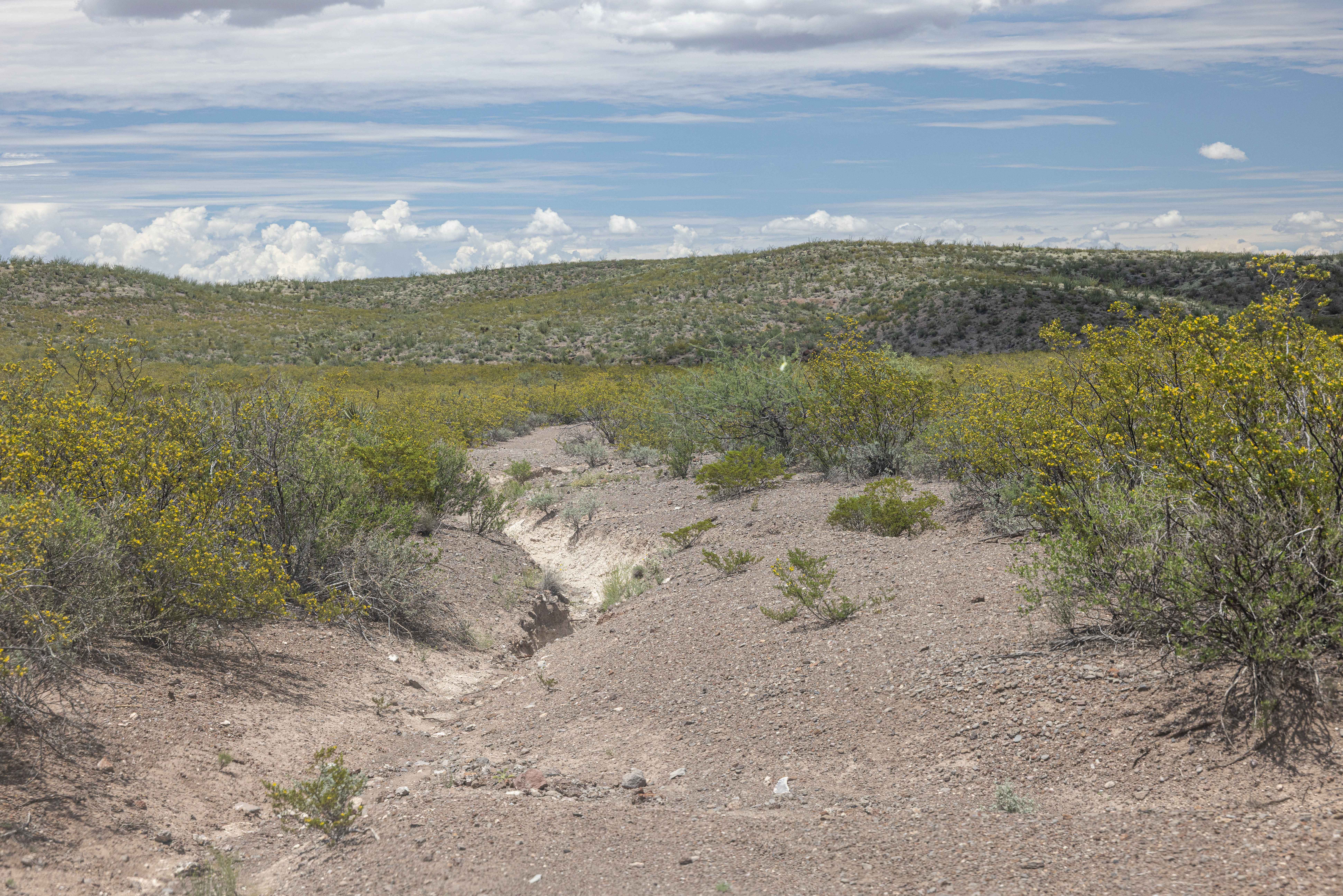 BBRSP - Los Alamos Road