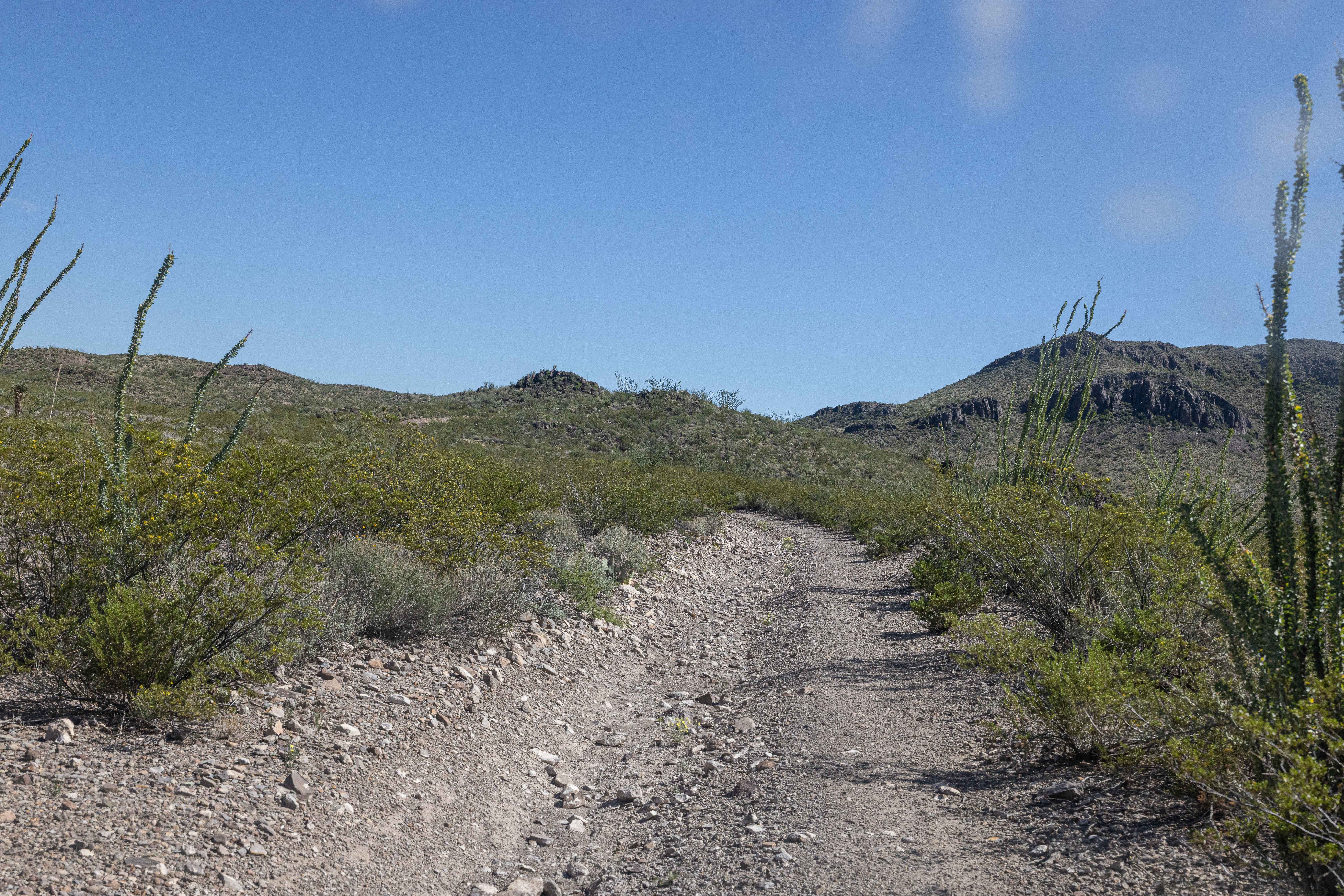 BBRSP - Guale Mesa Road