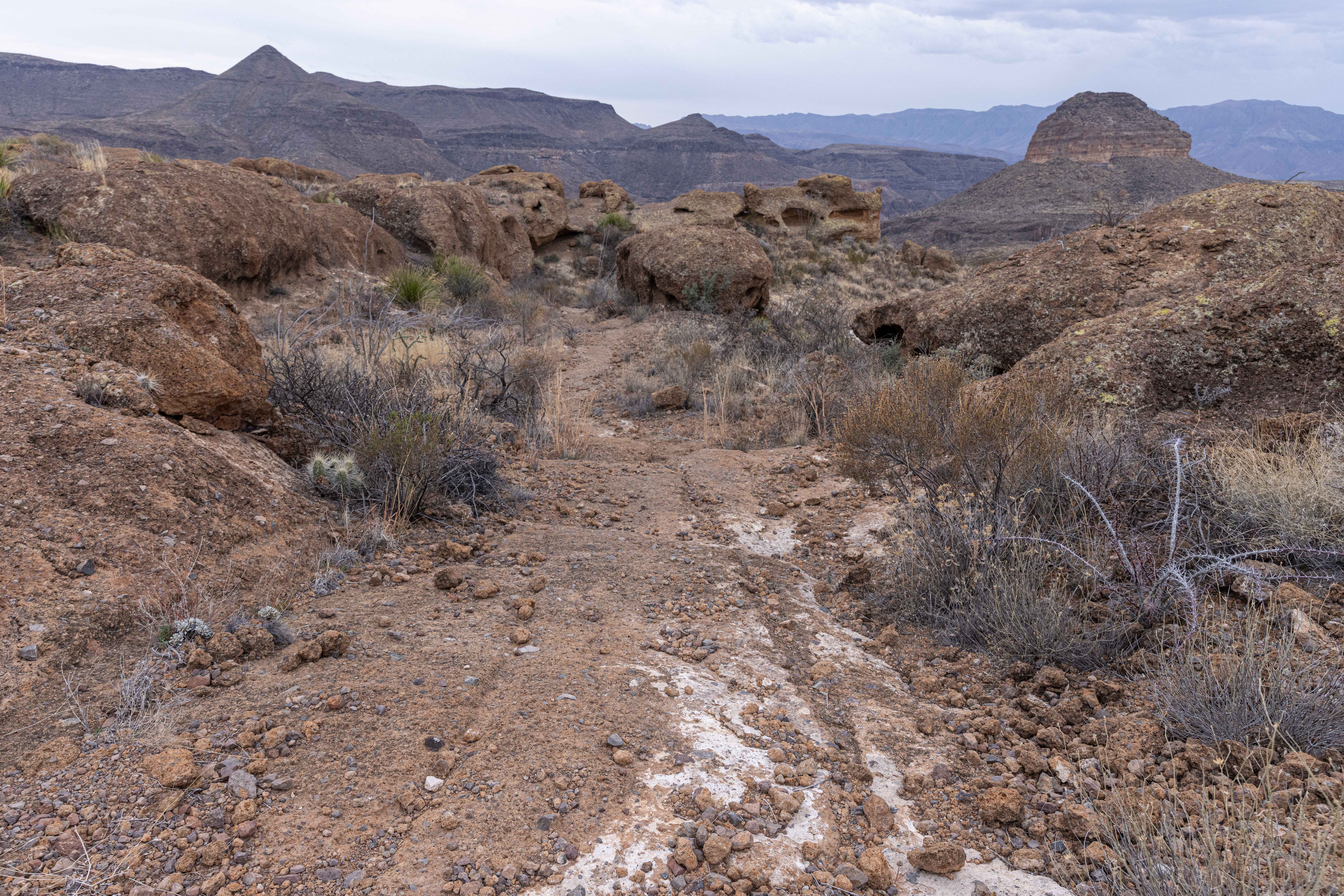BBRSP - Guale Mesa Road