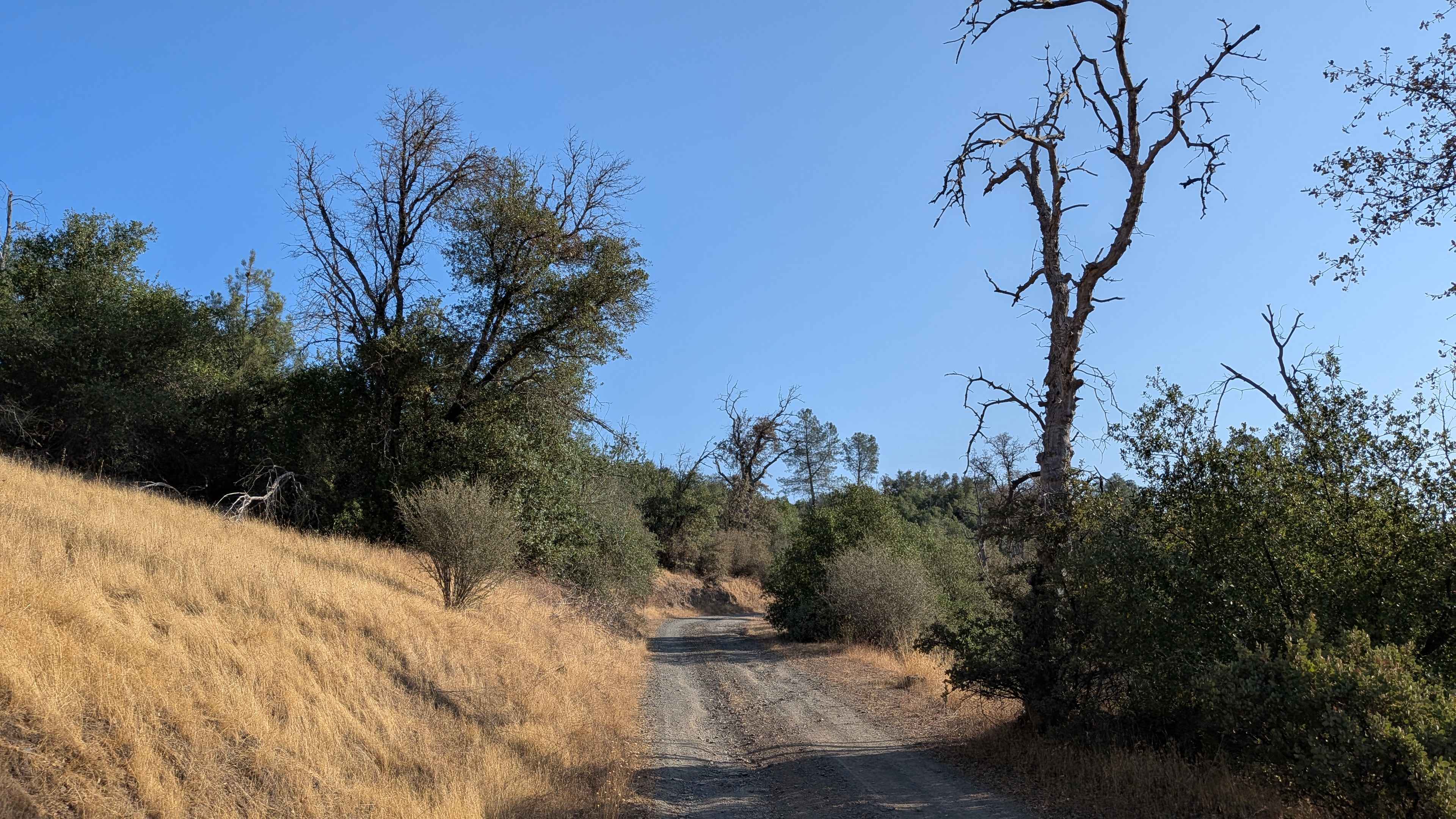 Bull Creek Road South