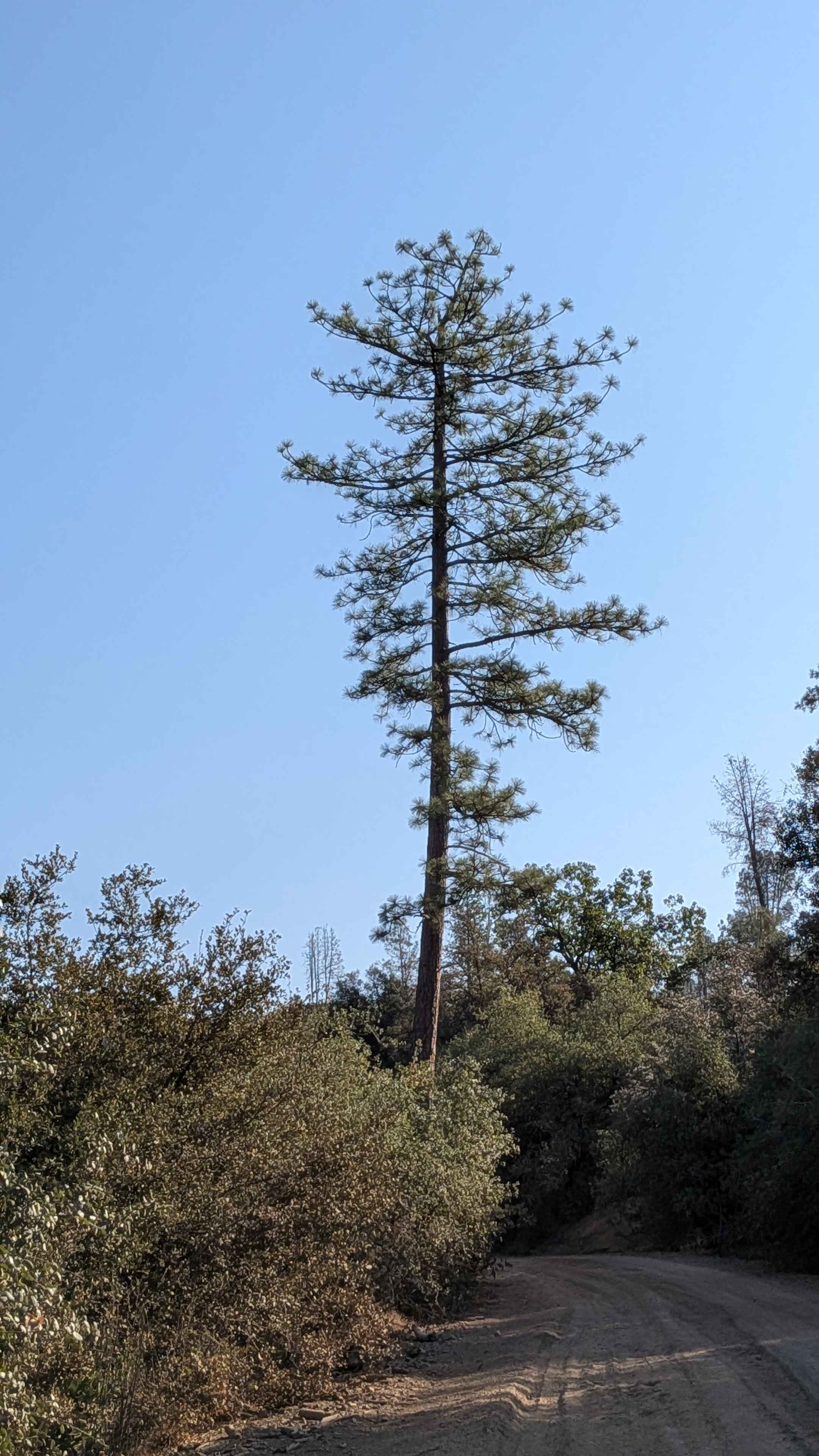 Briceburg Road - FS 2S05