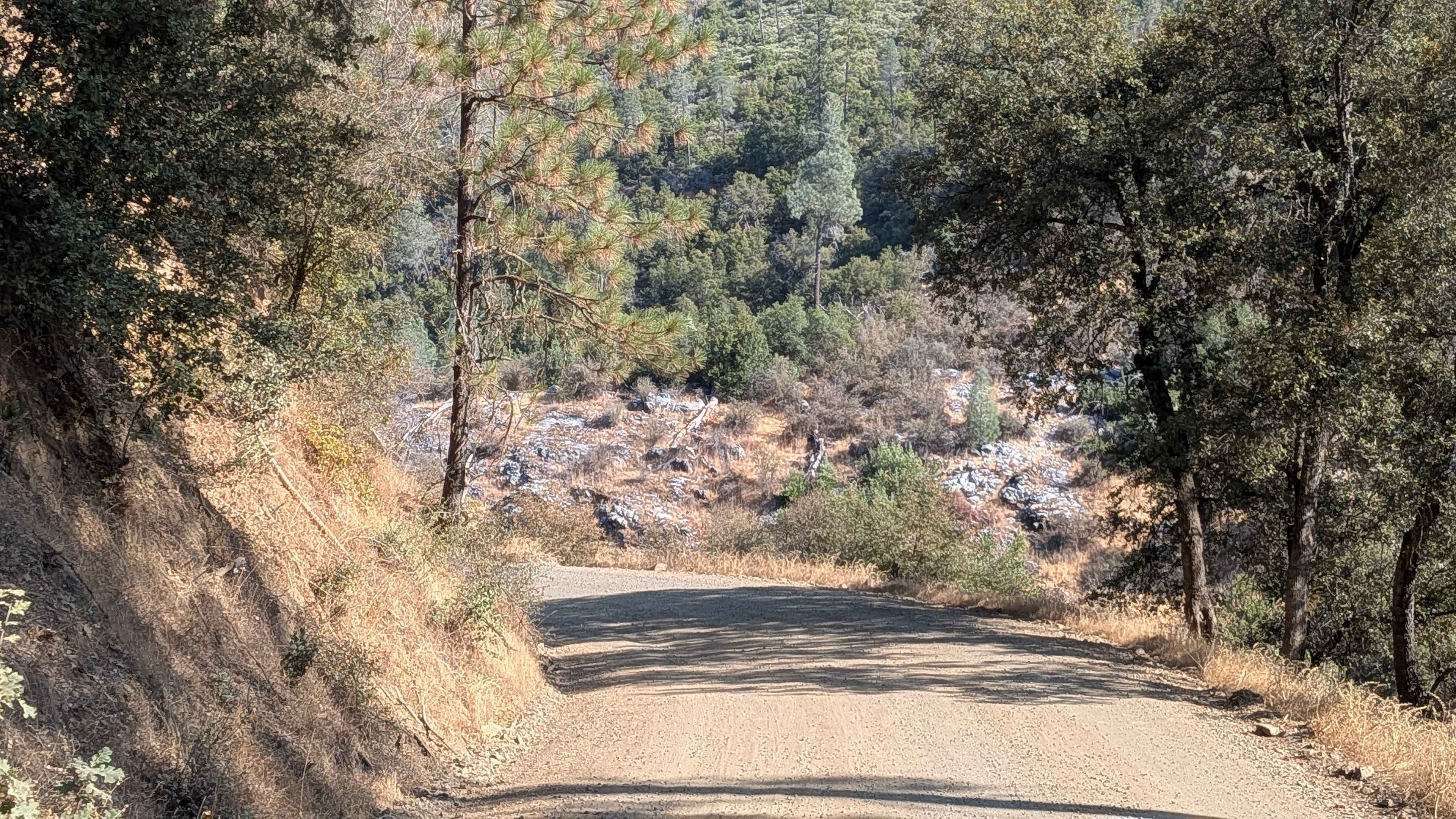 Bull Creek Road North