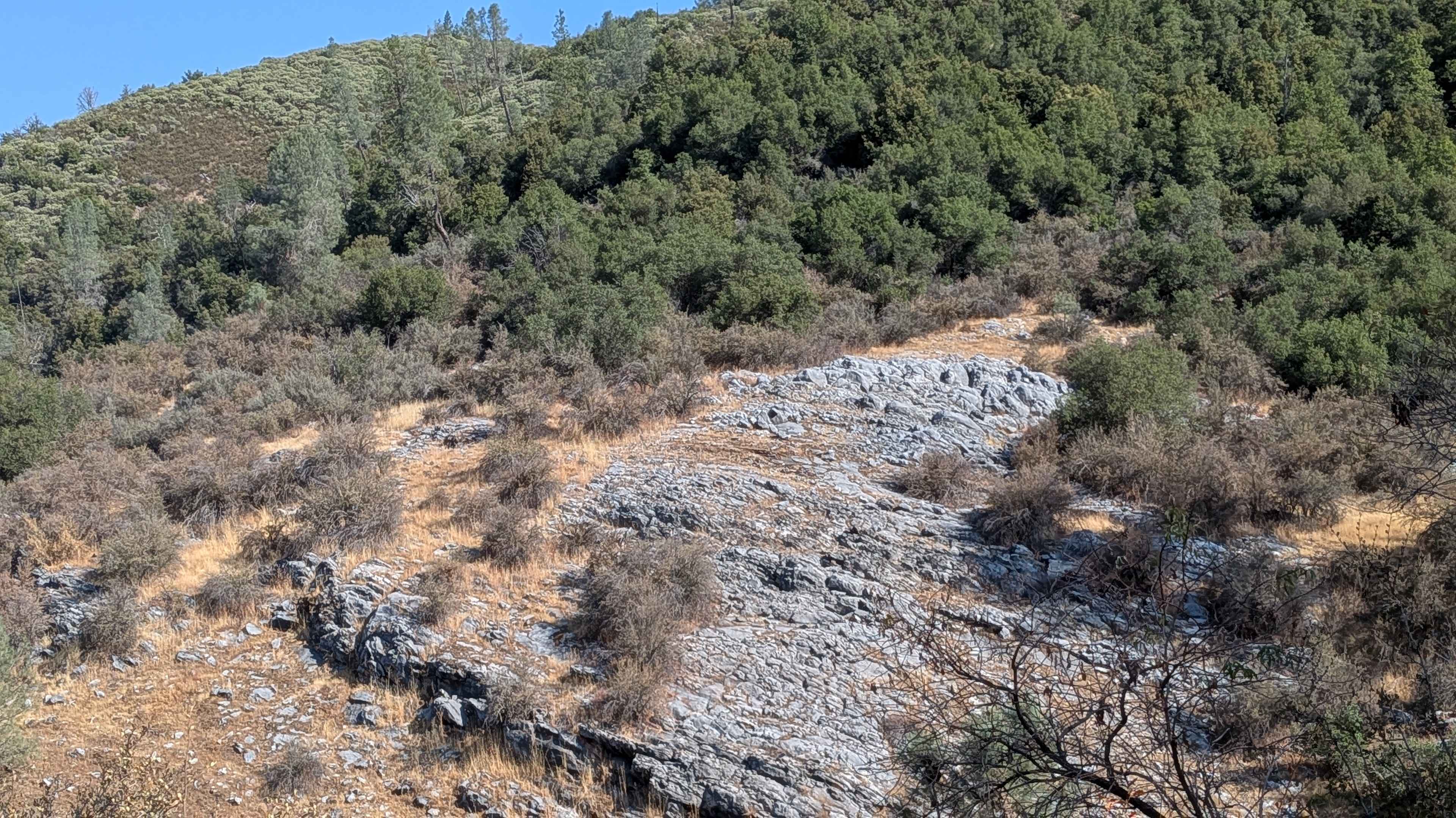 Bull Creek Road North