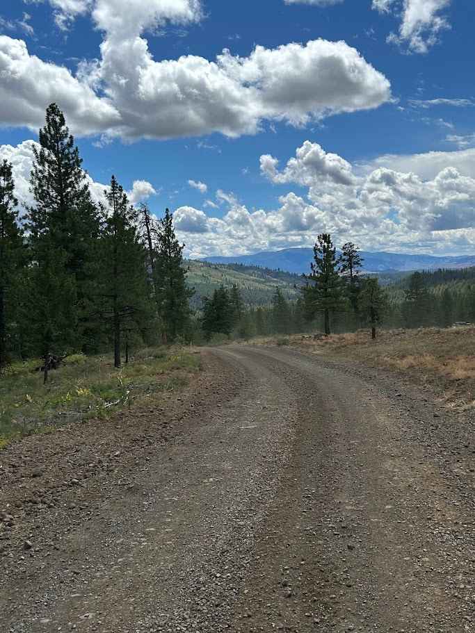 Lick Creek - FS 50143