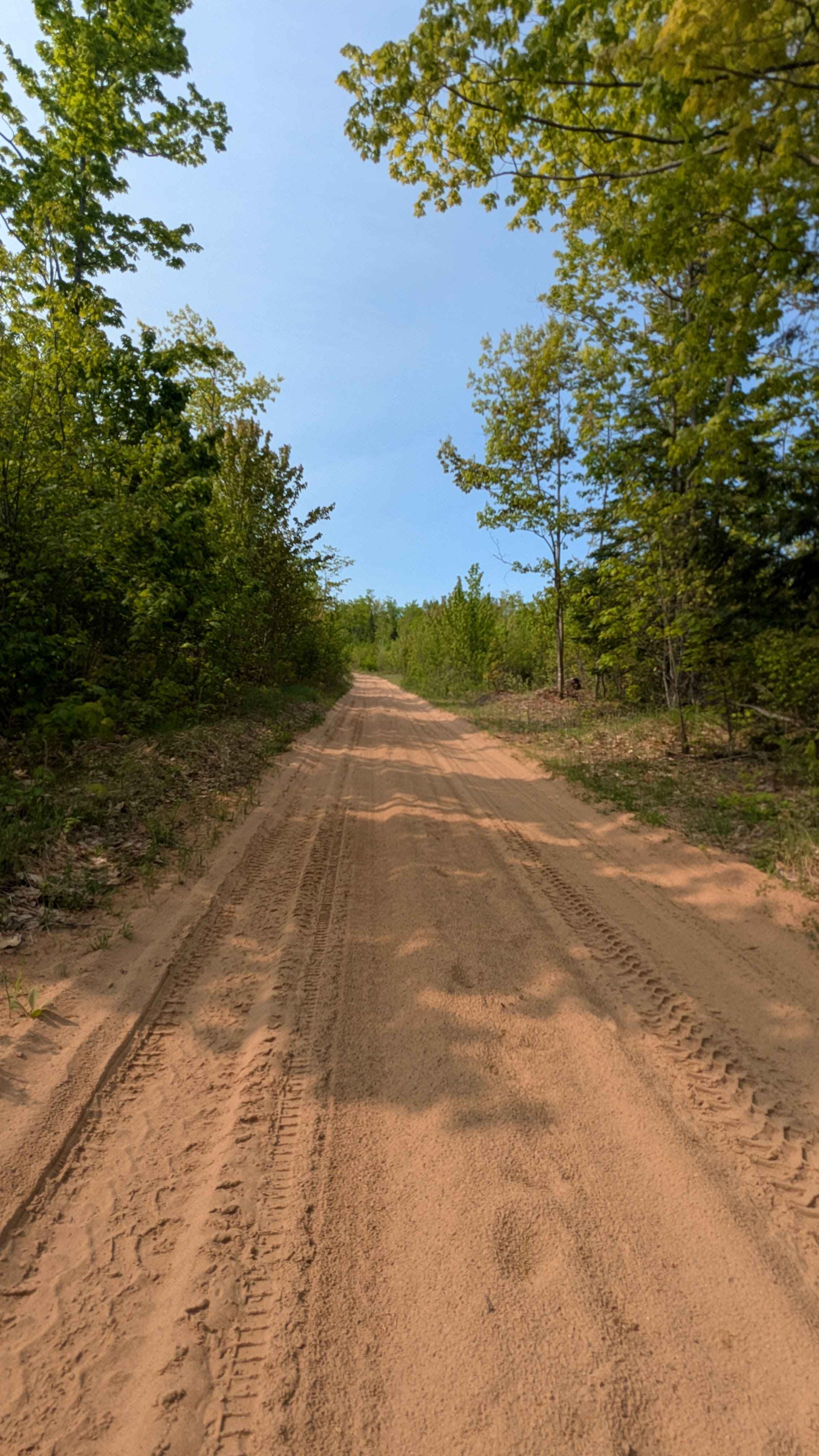 Alder Truck Trail
