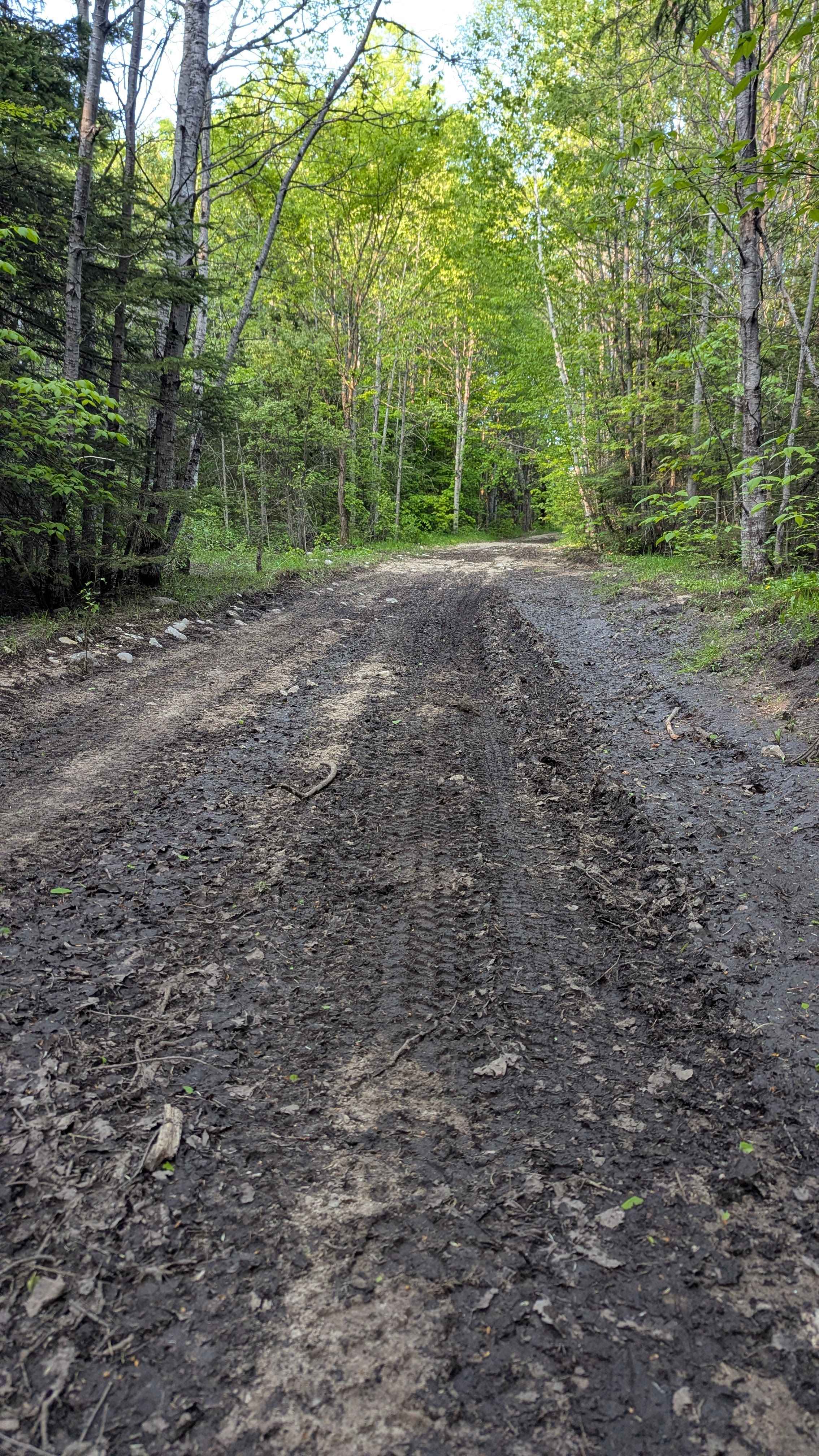 Norton Camp Truck Trail