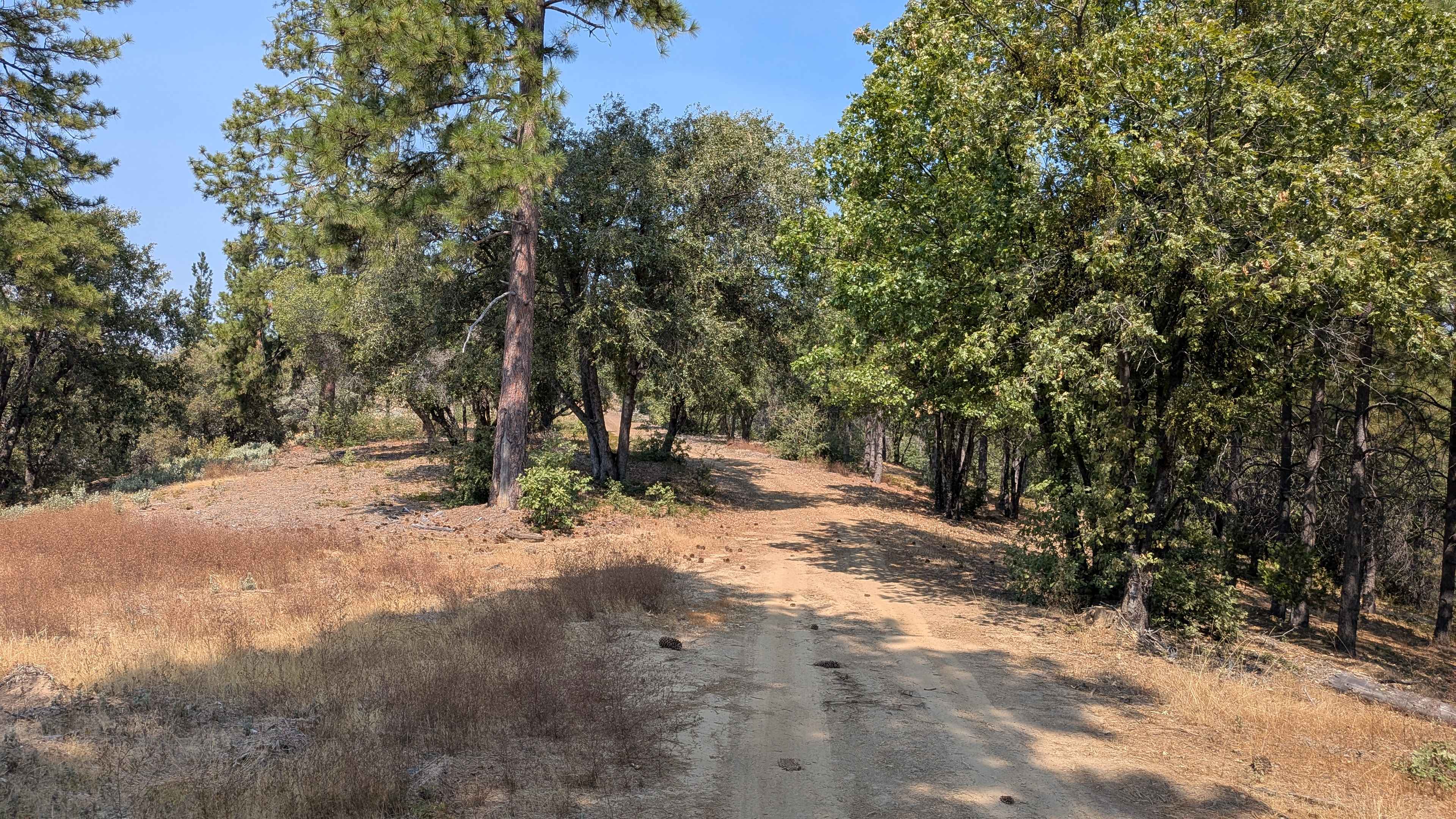 Forest Service Road 2S37