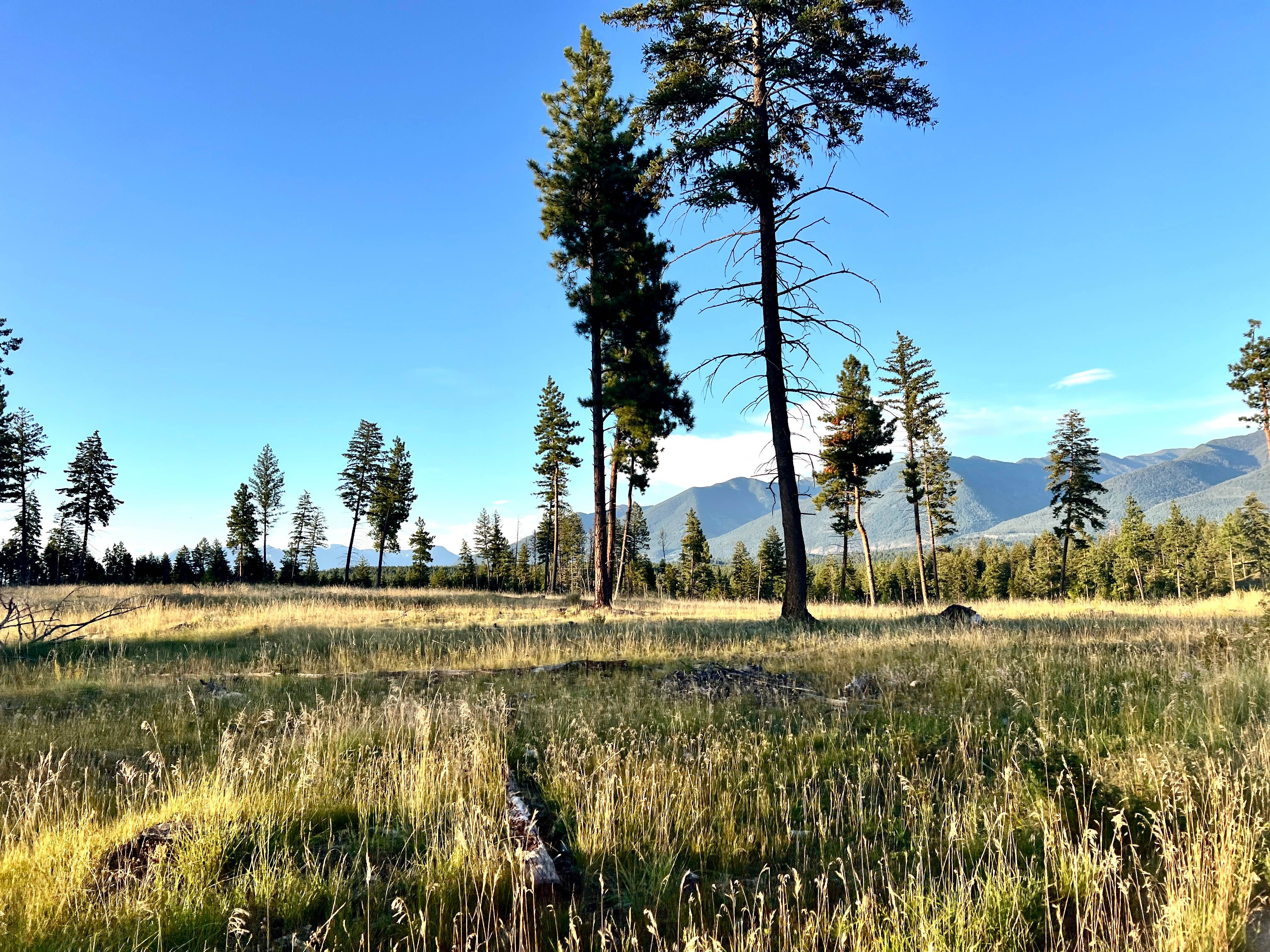 Grasmere Dorr Central 4WD Trail