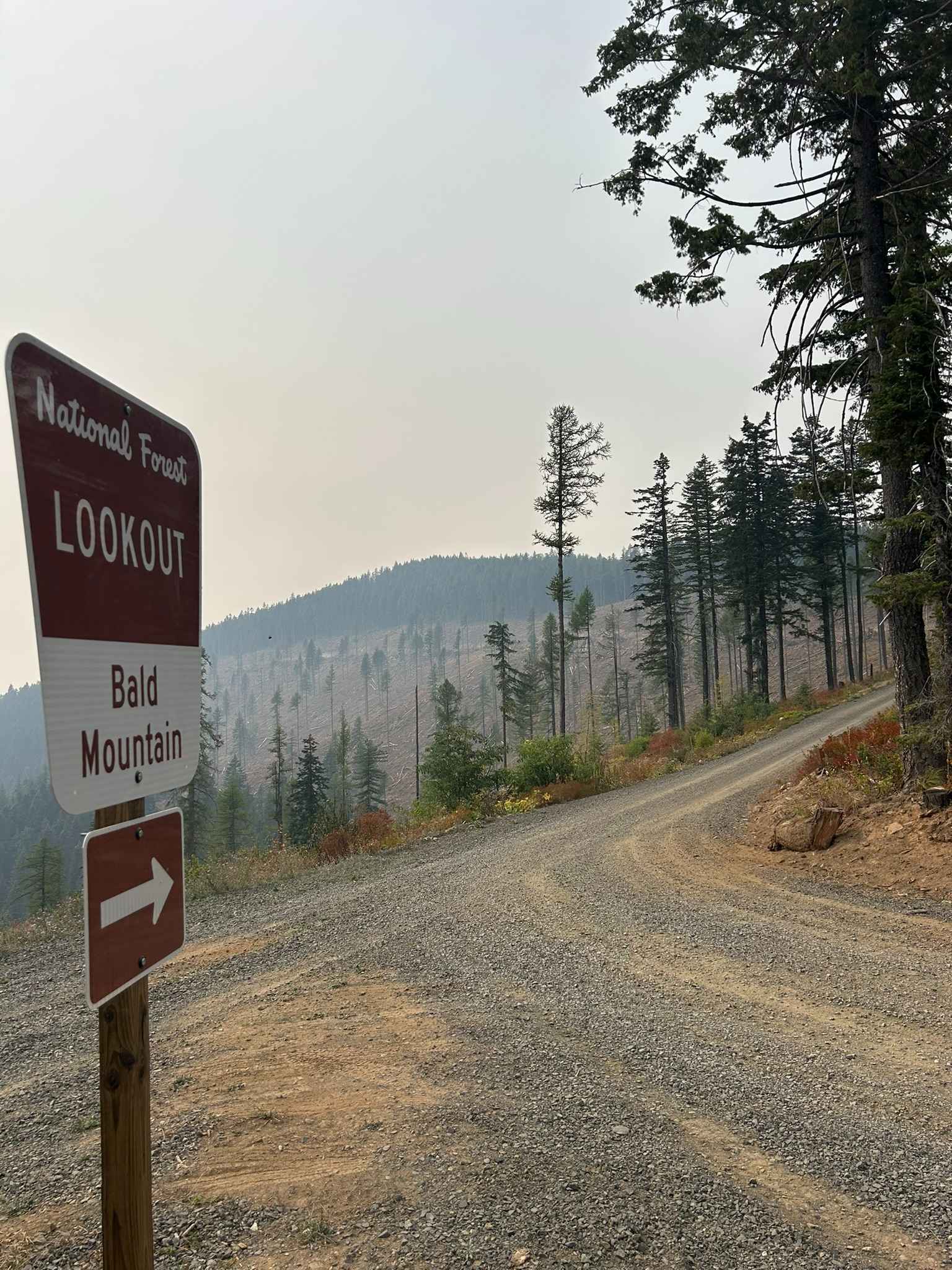 Bald Mountain Lookout - FS 377A