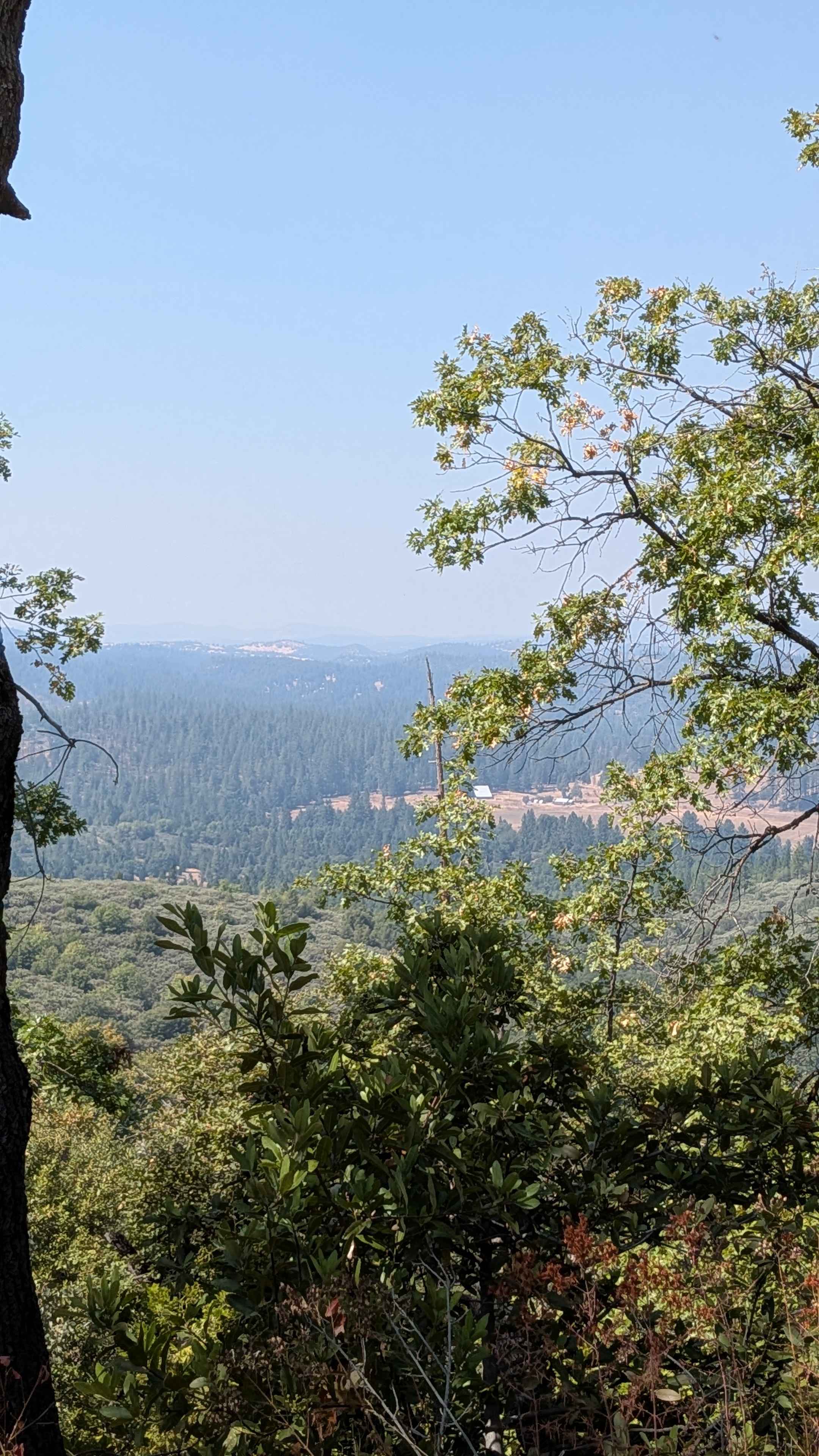 Smith Peak Lookout - FS 1S16