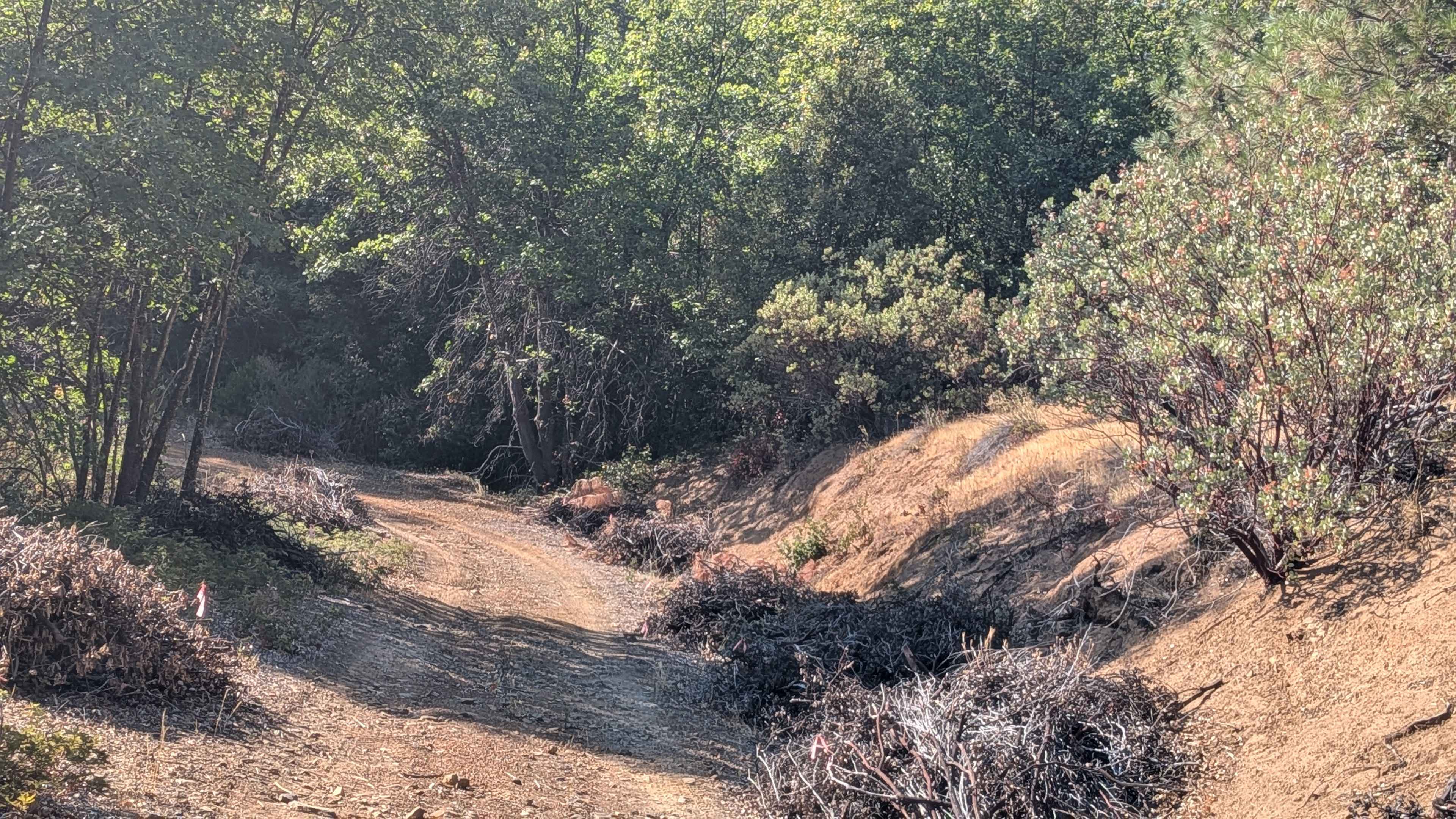 Forest Service Road 2S09