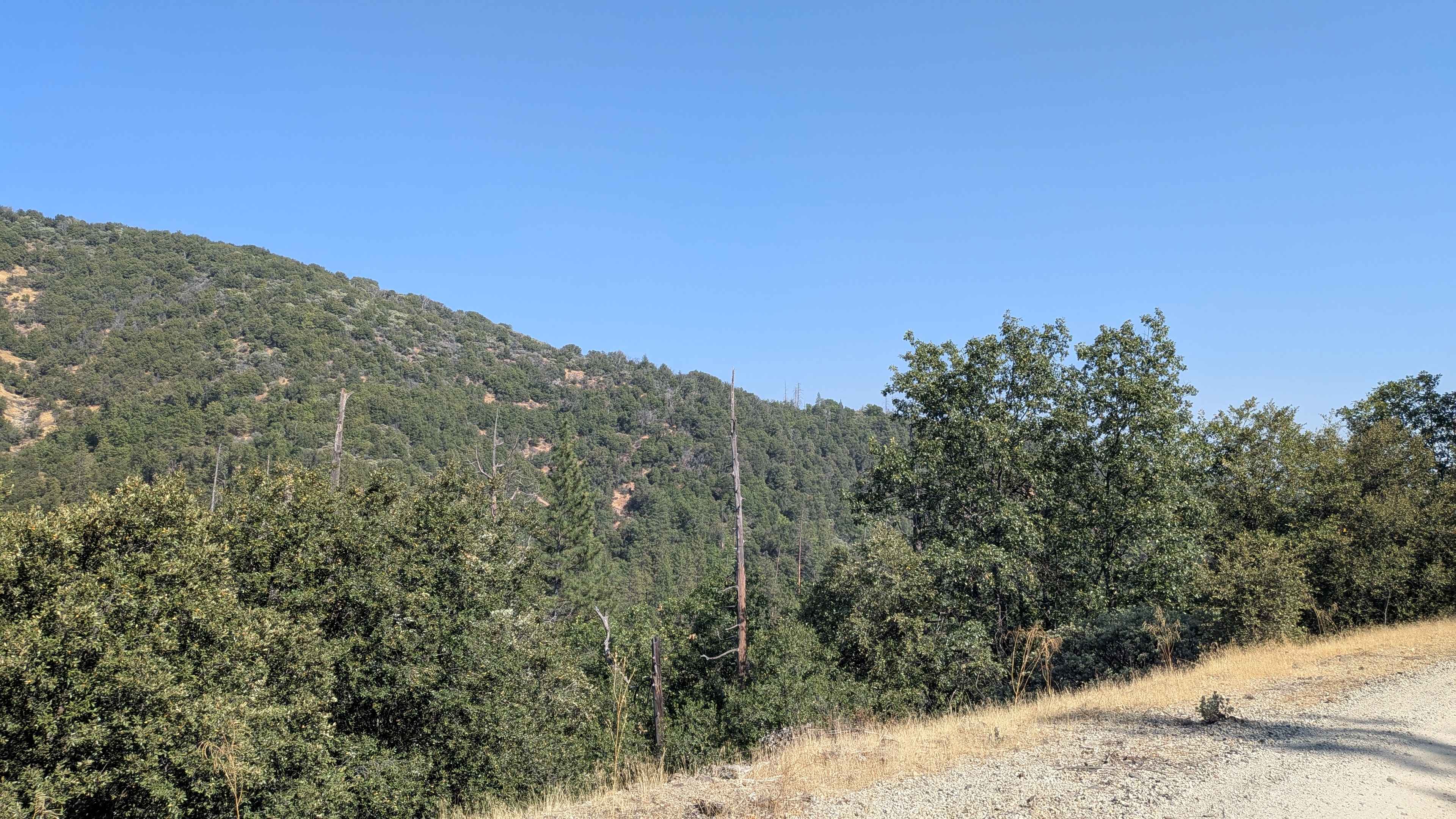 Moore Creek Road - FS 1S29