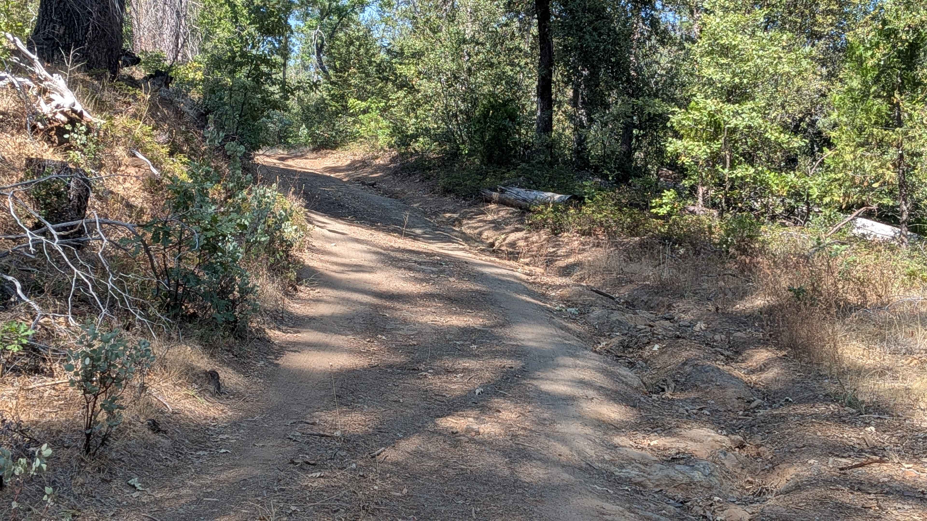 Smith Ridge - FS 1S28