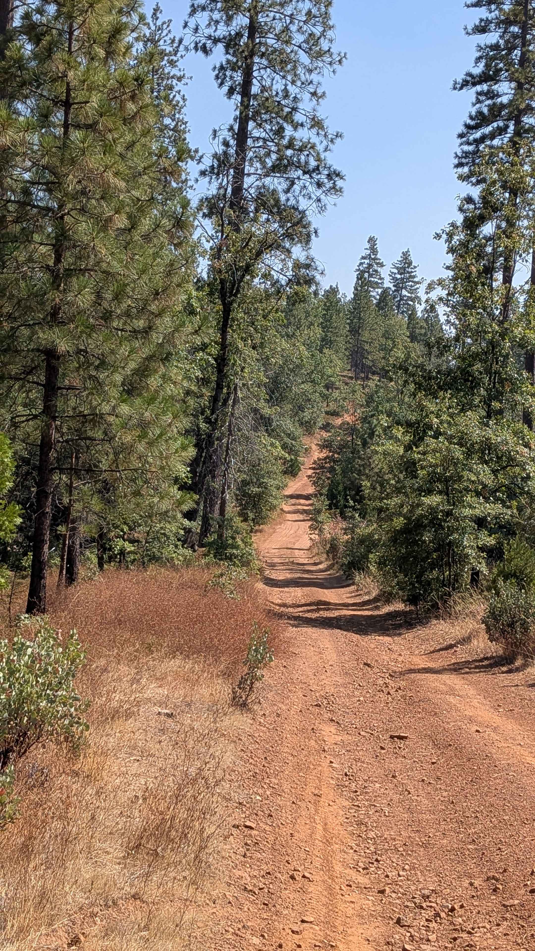 Smith Ridge - FS 1S28