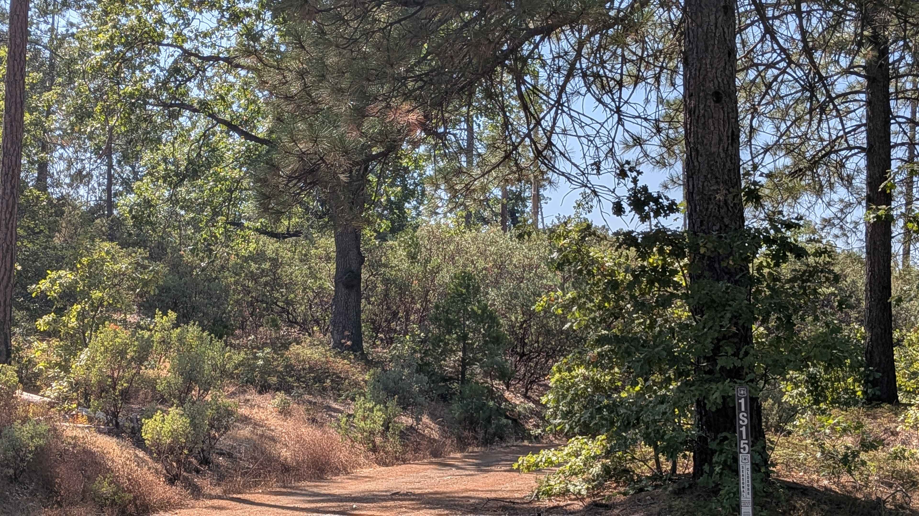 Forest Service Road 1S15