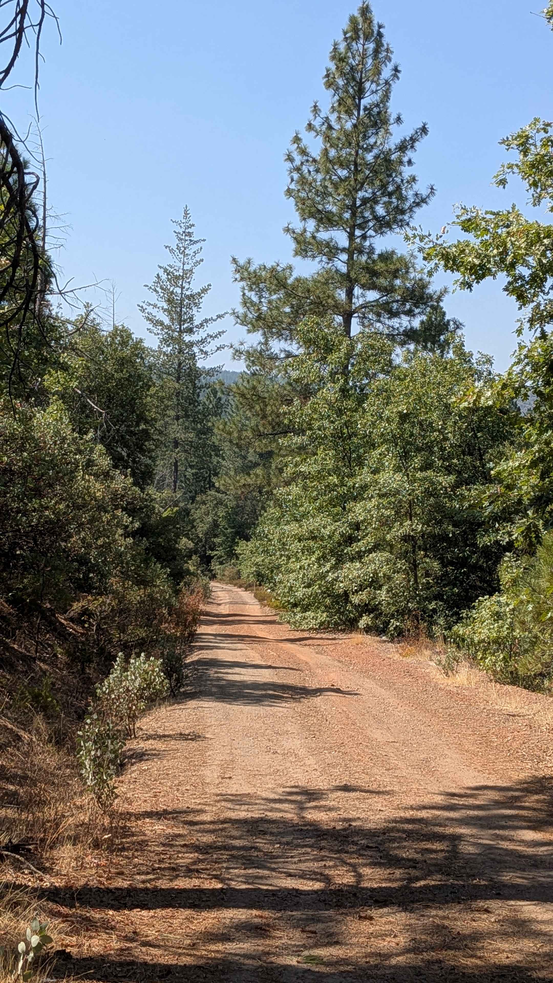 Forest Service Road 1S15