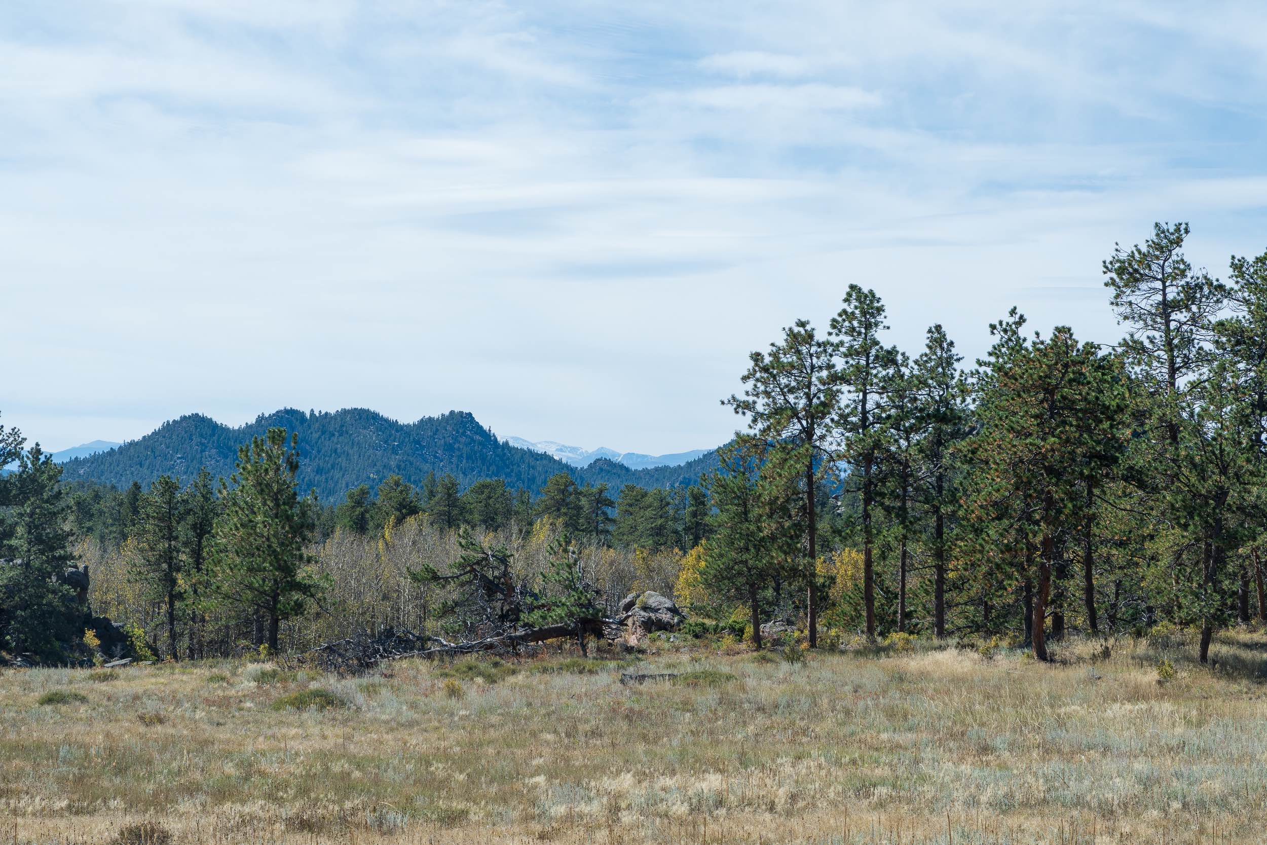 Forest Service Road 181C