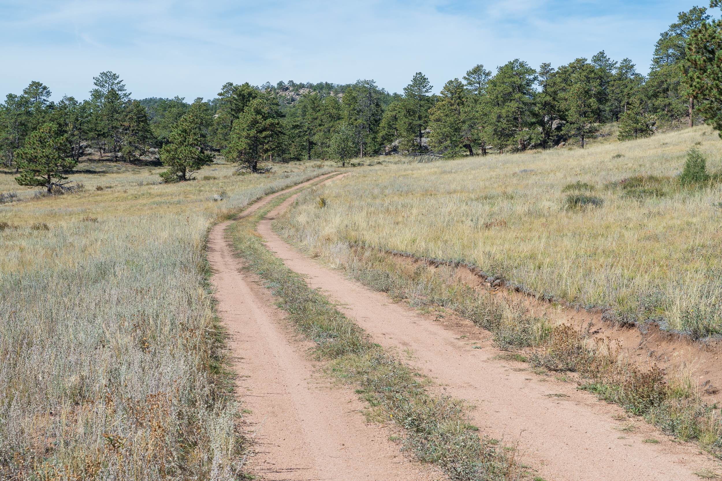 Forest Service Road 181C