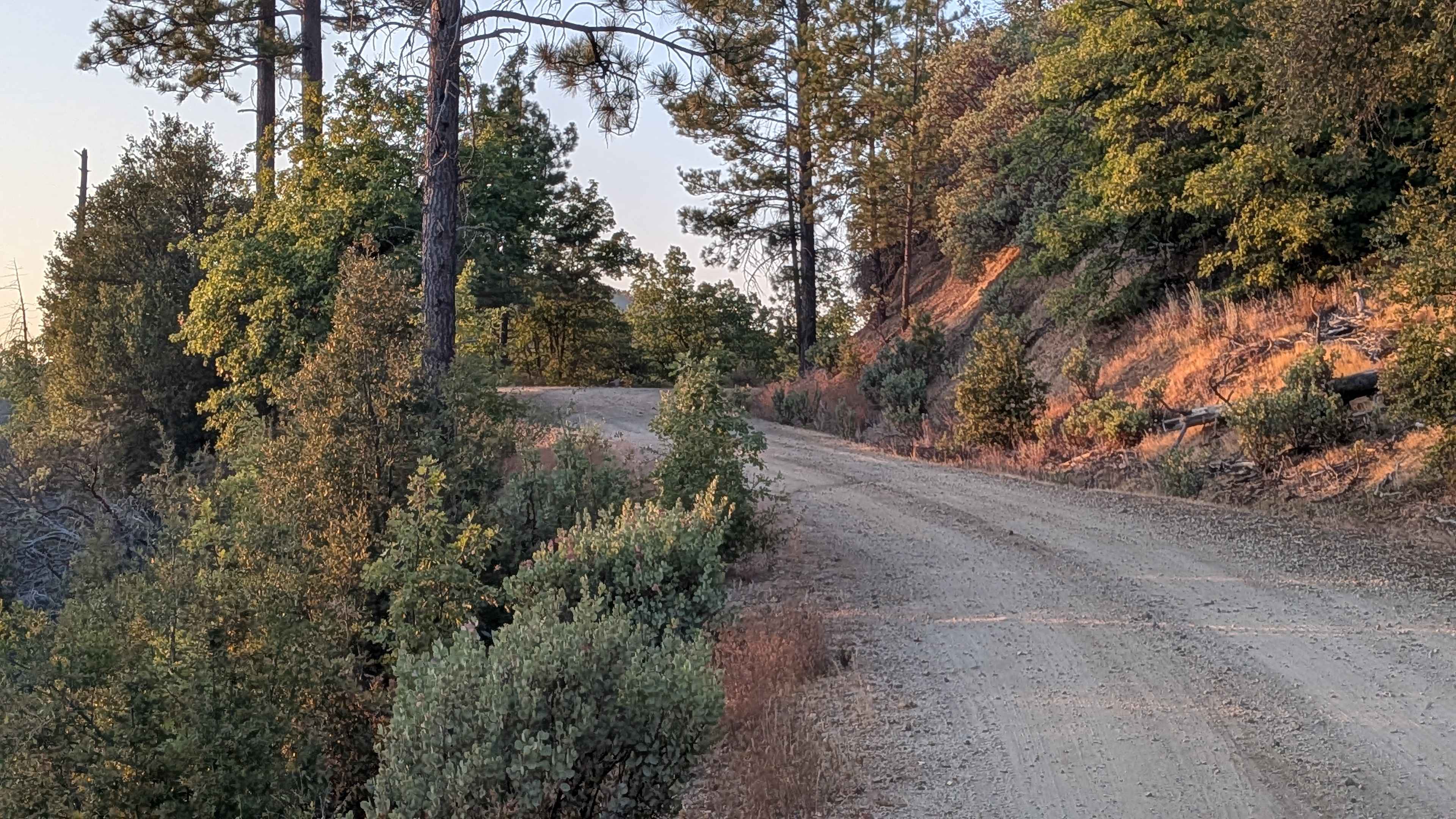 Pilot Ridge - FS 1S14