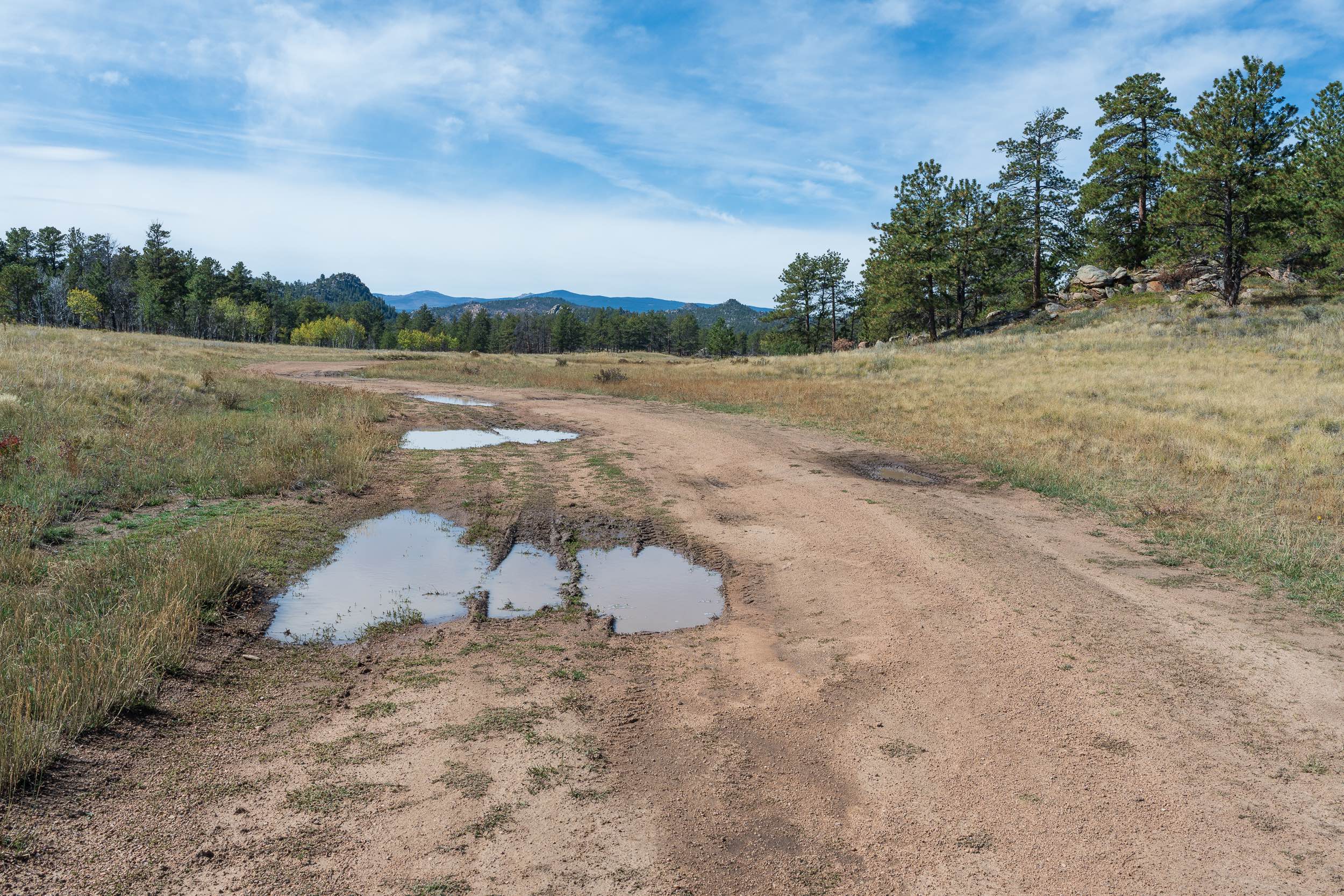 Chicken Park - FS 181
