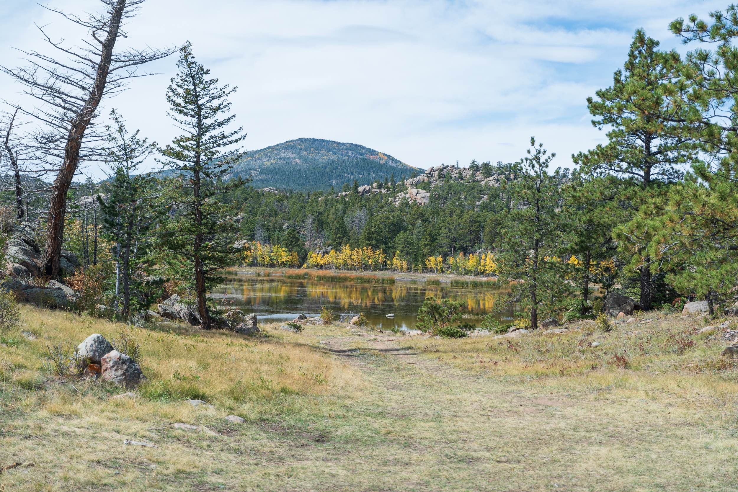 Chicken Park - FS 181