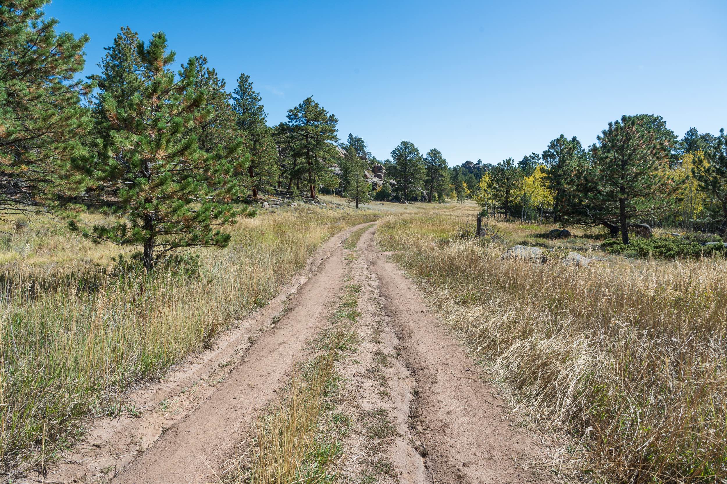 Forest Service Road 181D