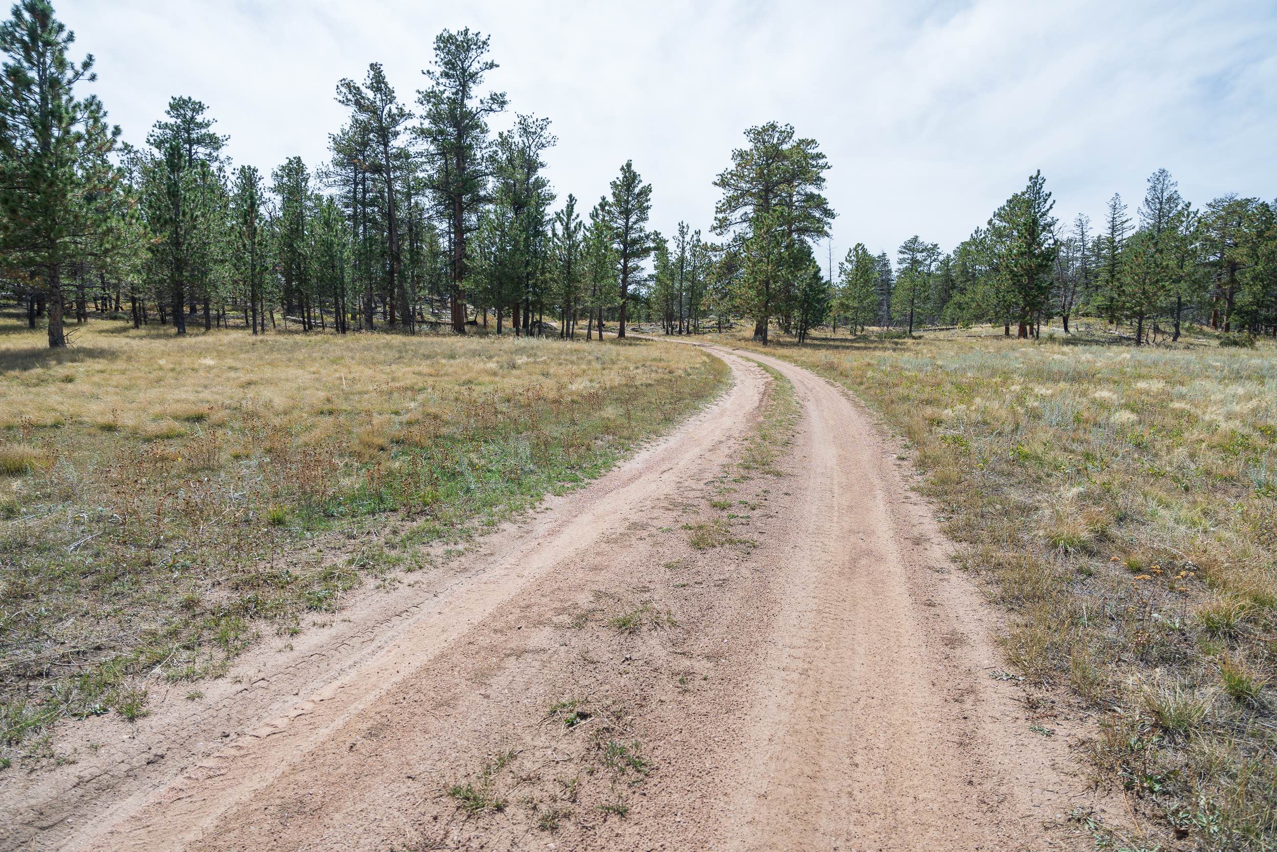 Forest Service Road 181A