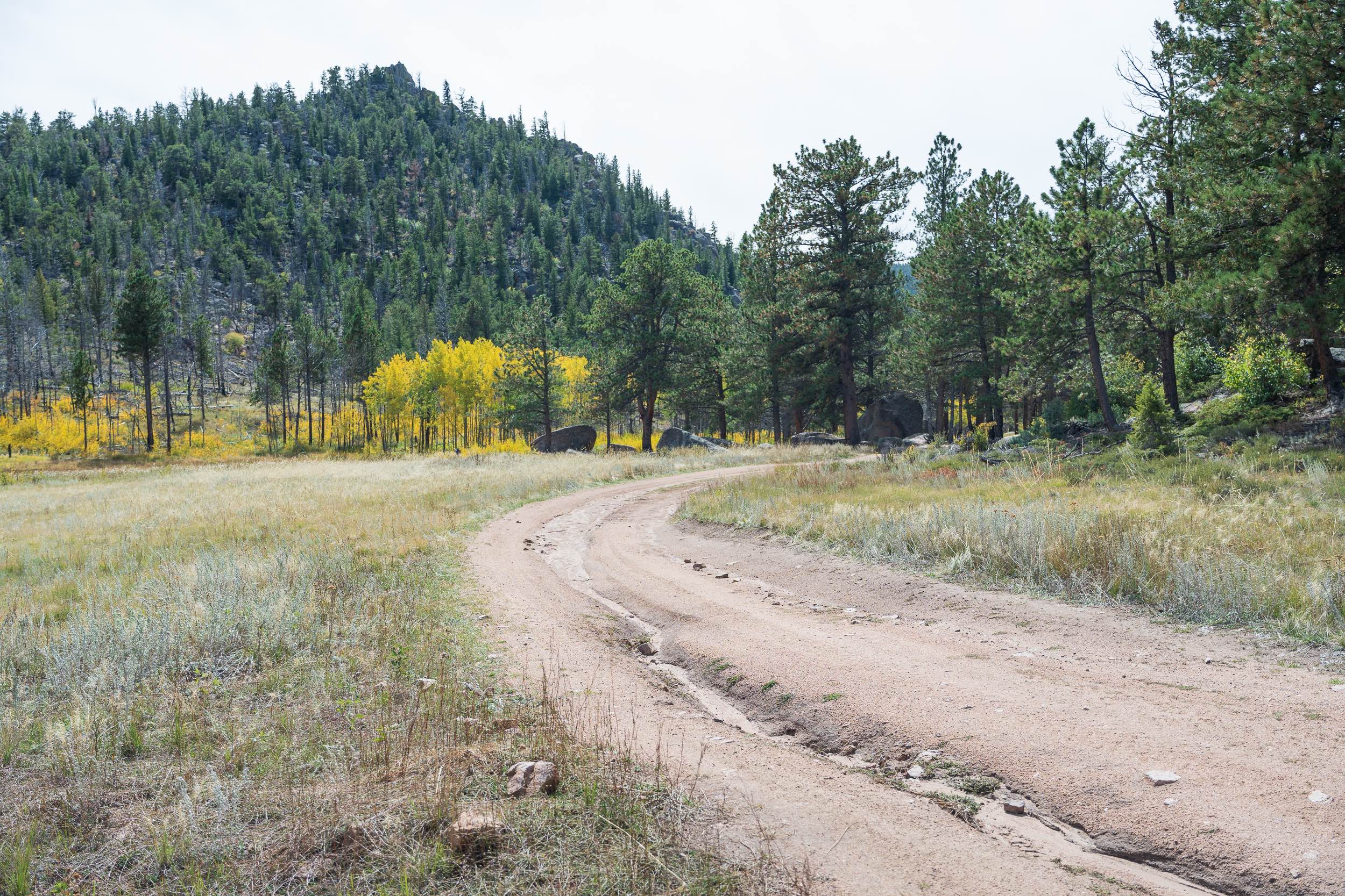 Forest Service Road 181A