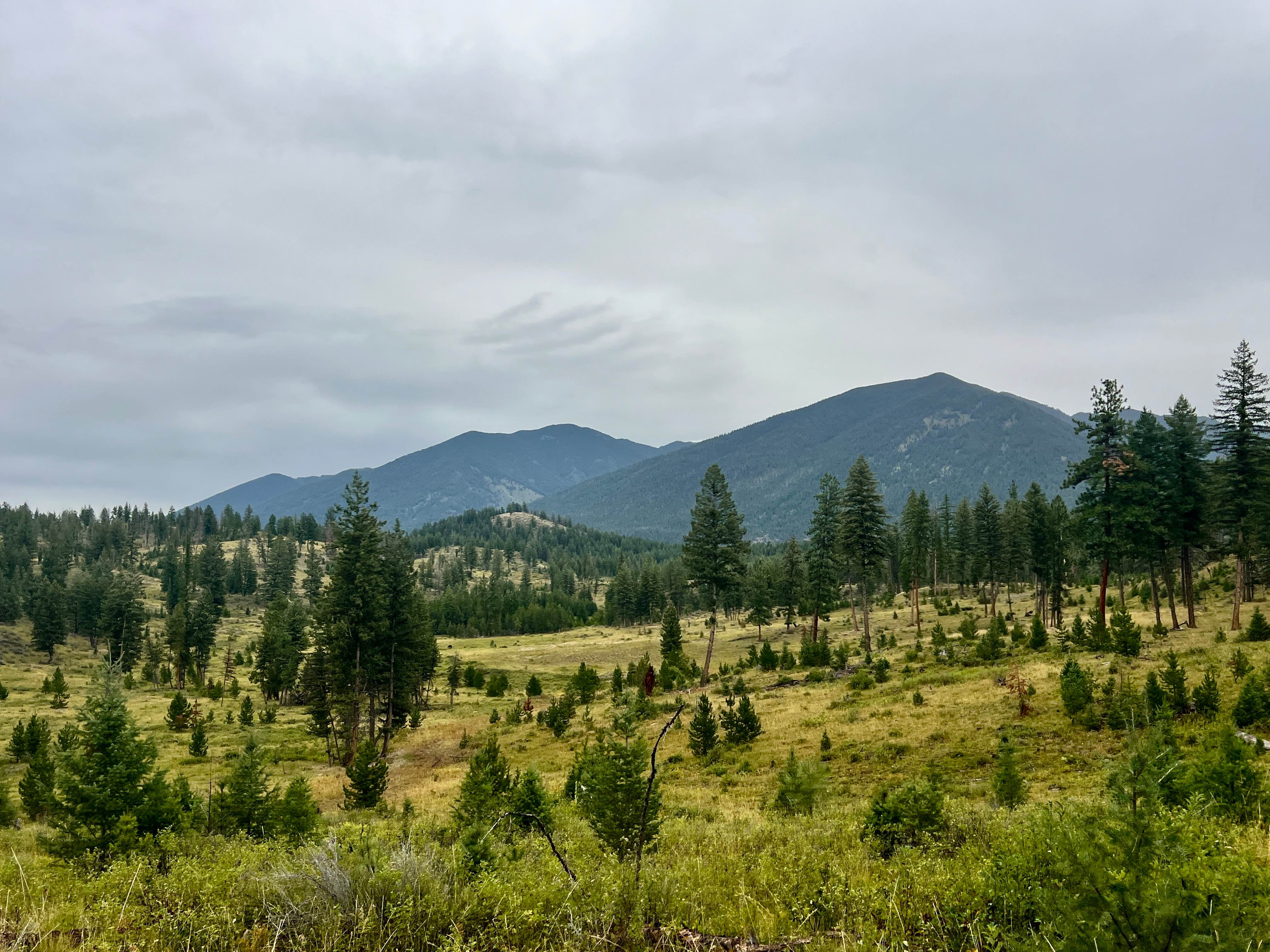 Grasmere Staging Loop