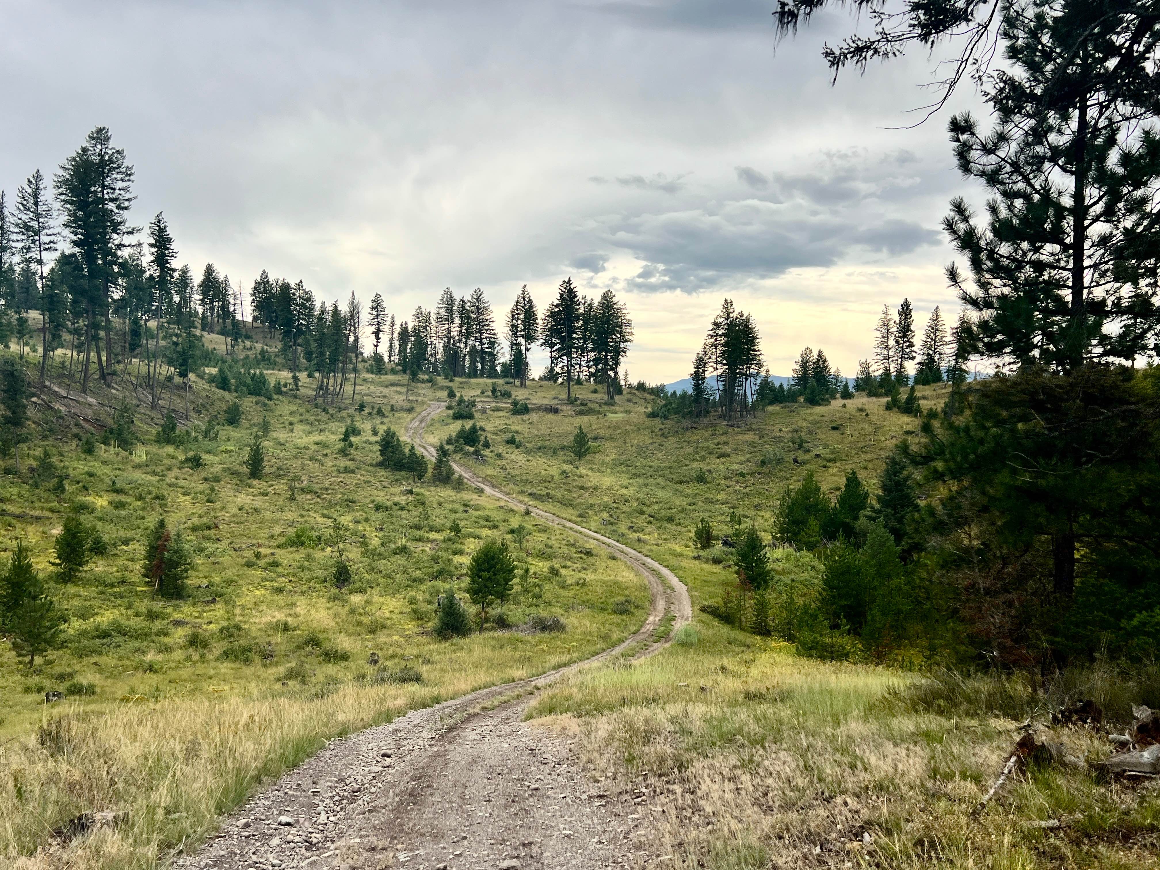 Grasmere Staging Loop
