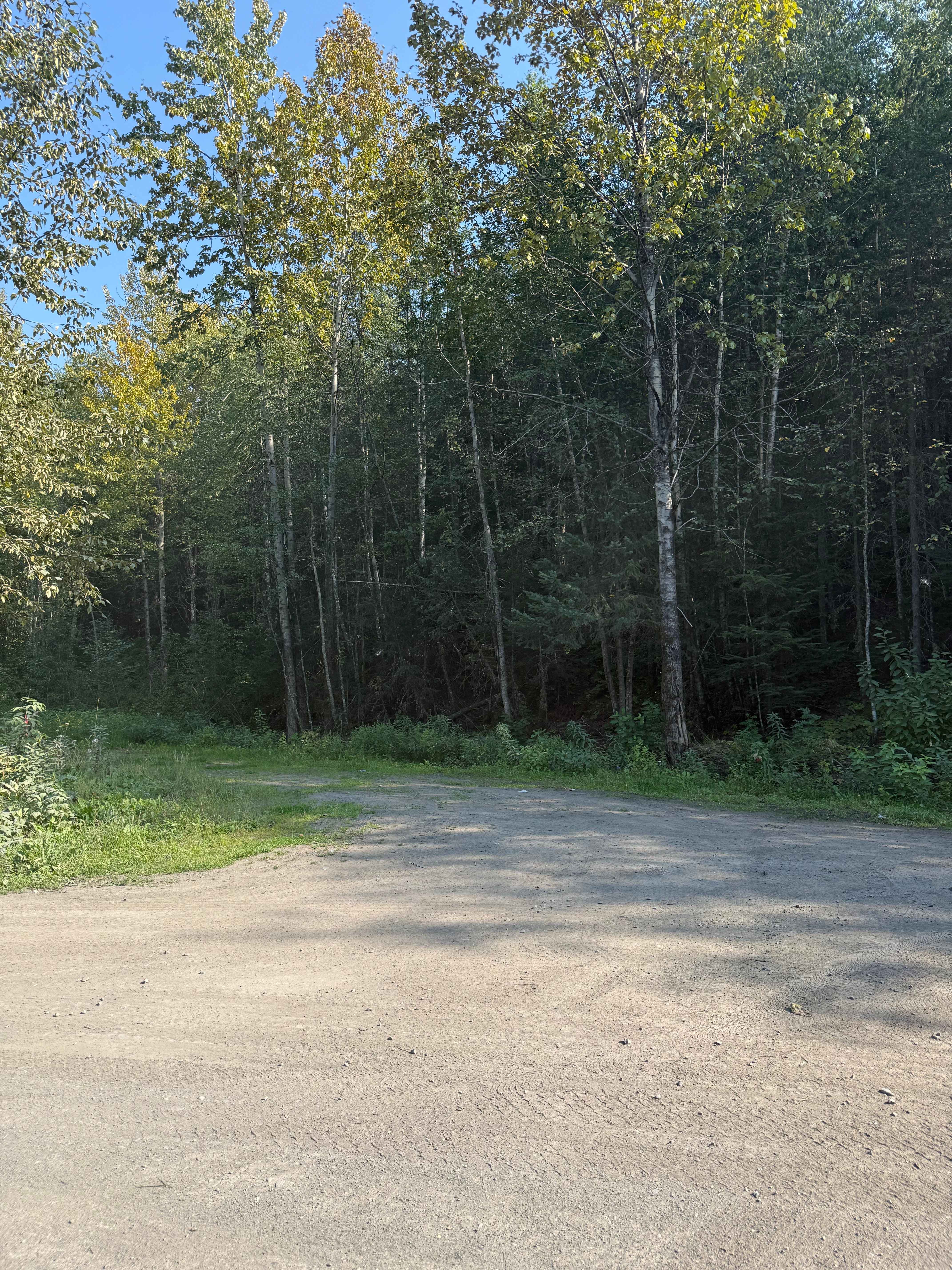 Cranberry Forest Service Road