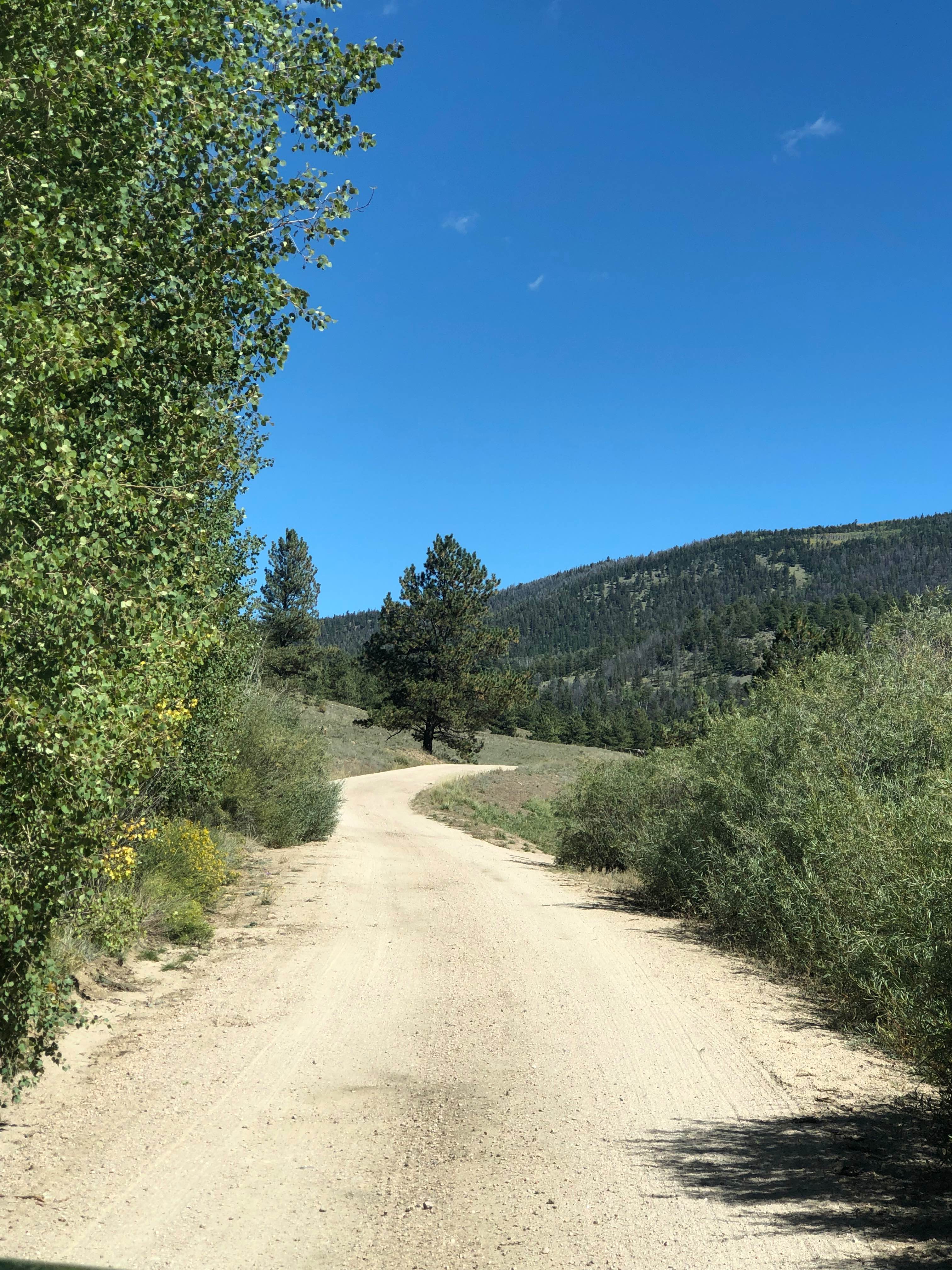 Mushroom Gulch - FS 308