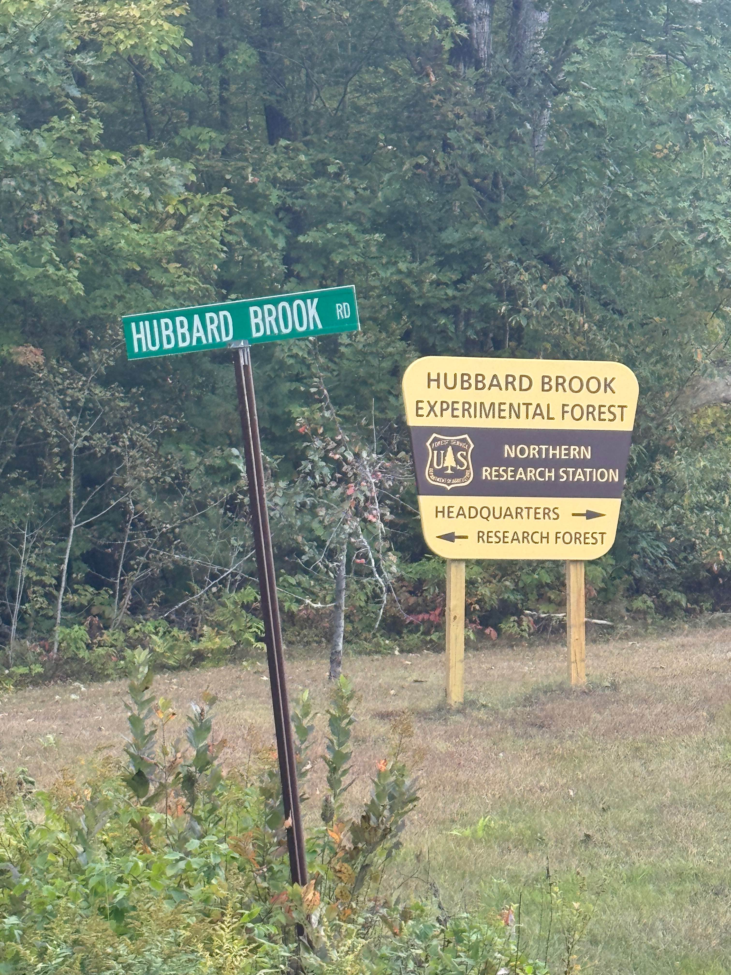 Hubbard Brook Road