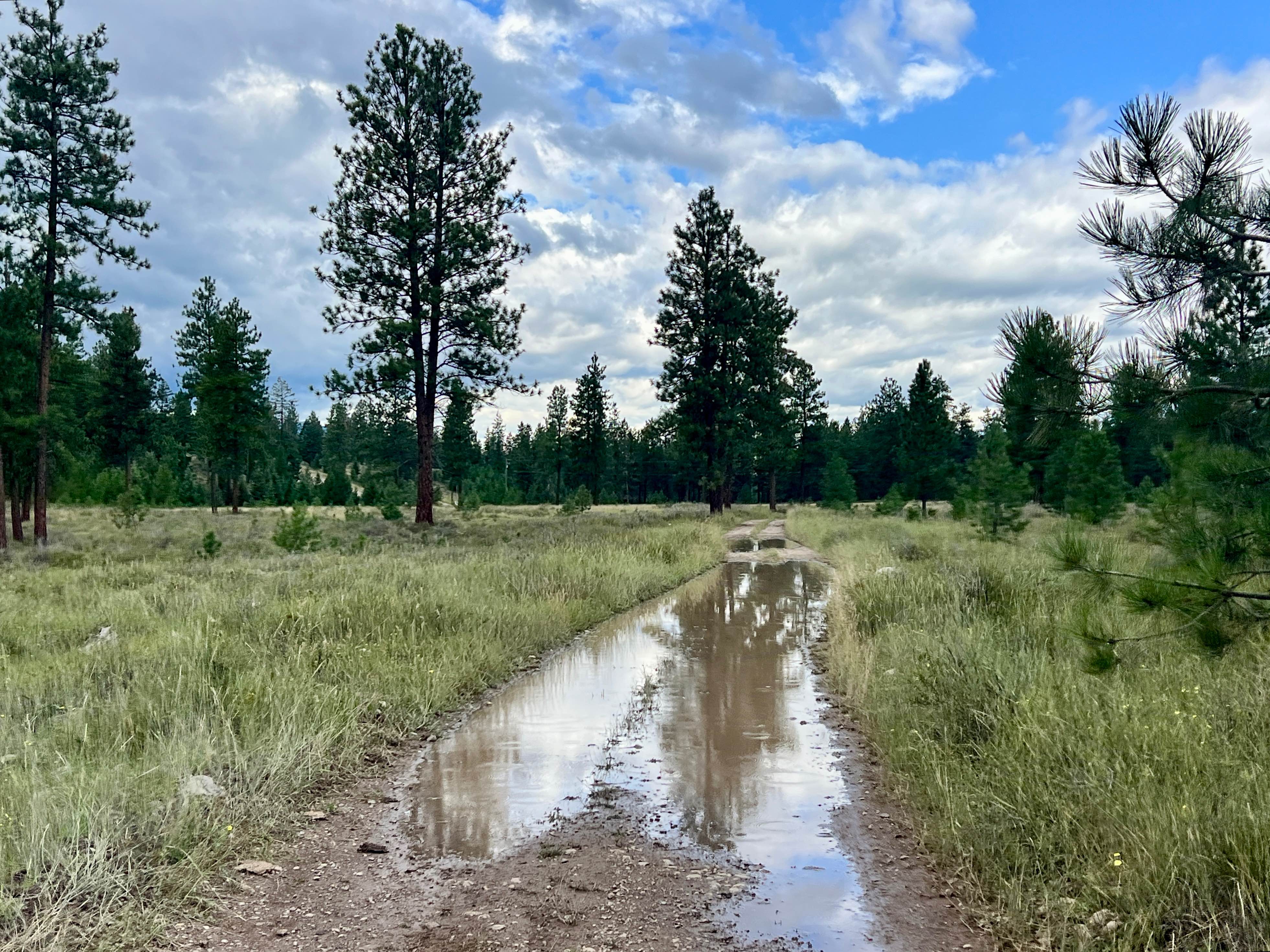 Koocanusa Lookout Loop