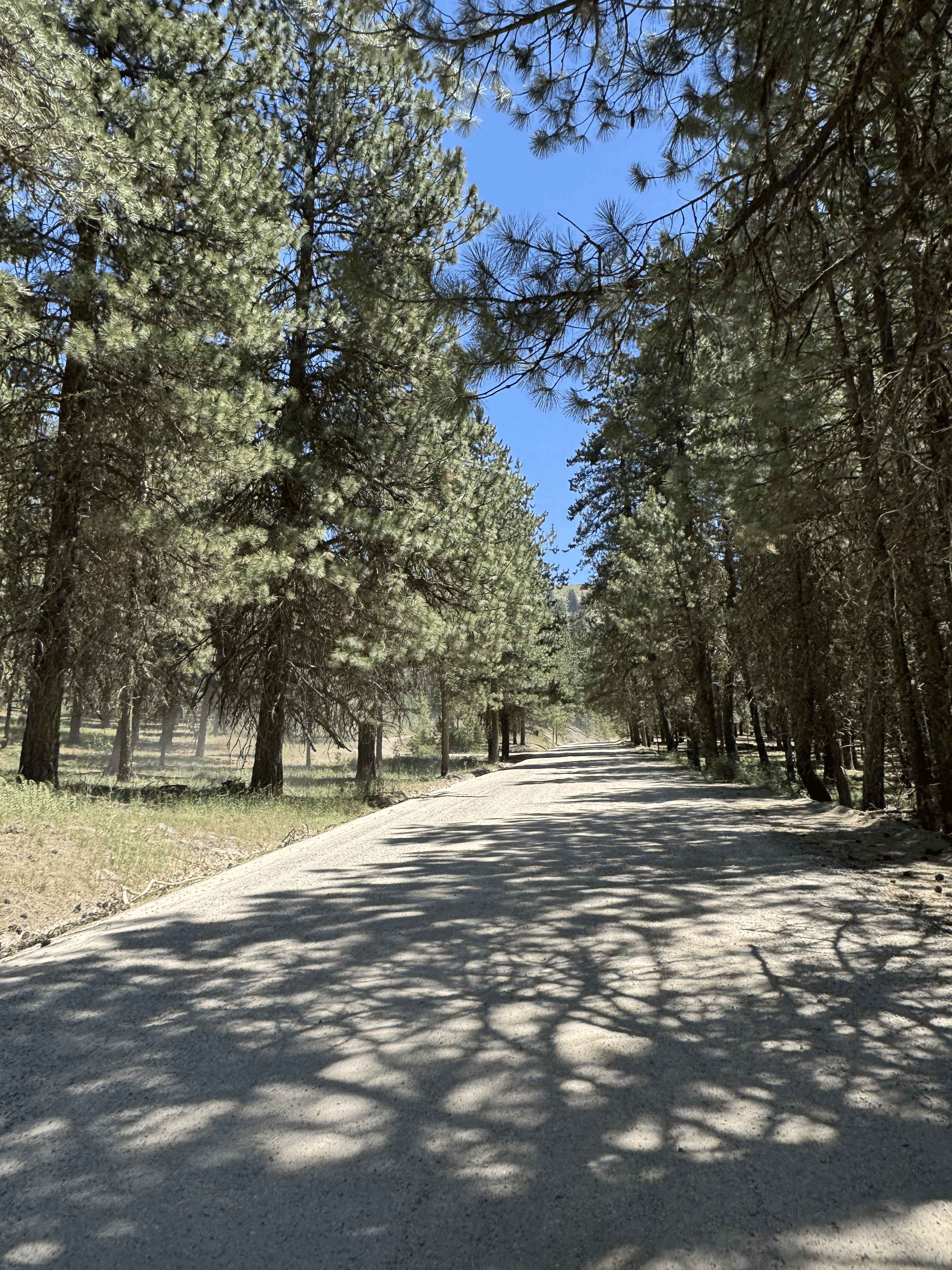 South Fork River Road