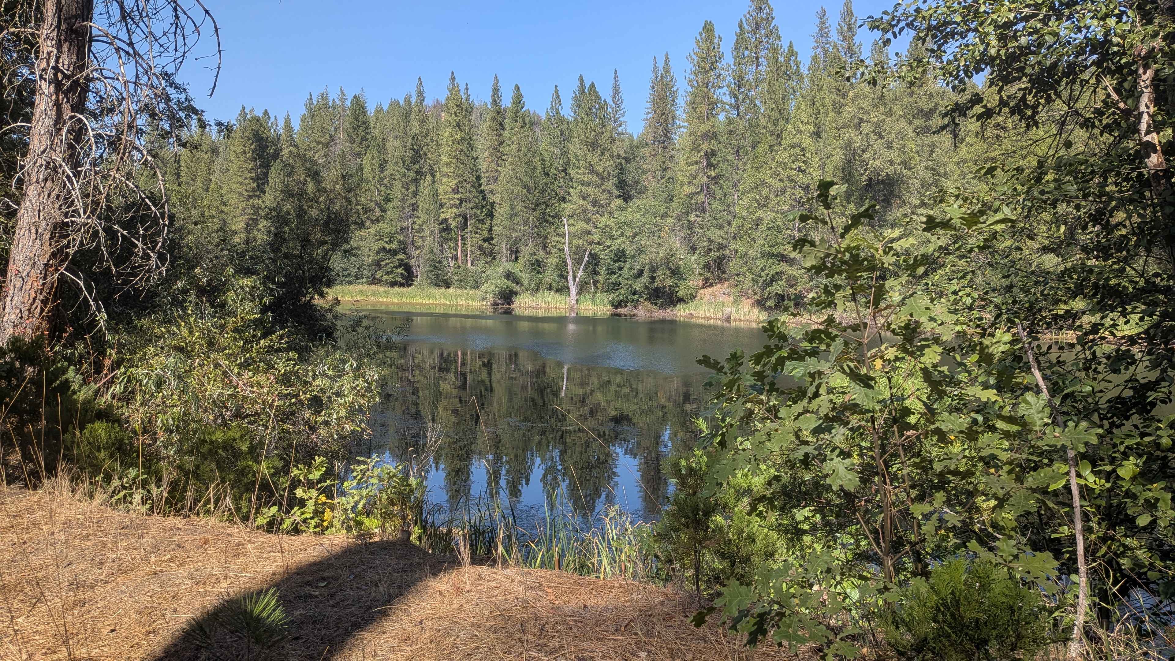 Jordan Creek Road - FS 2S17