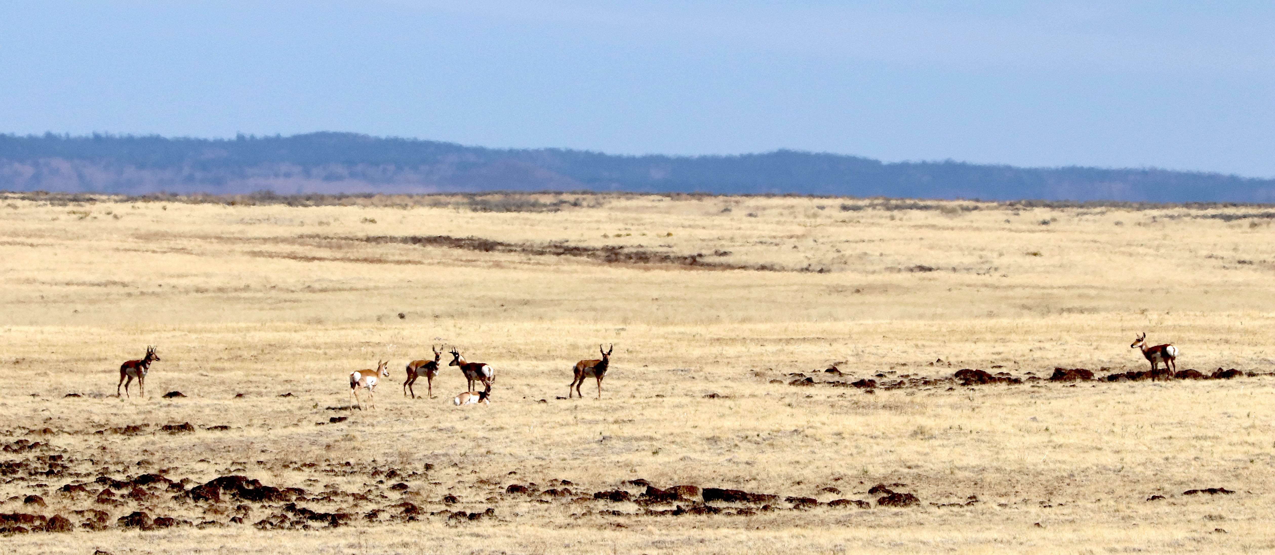 Three Forks Road South - BLM 6366-0-00