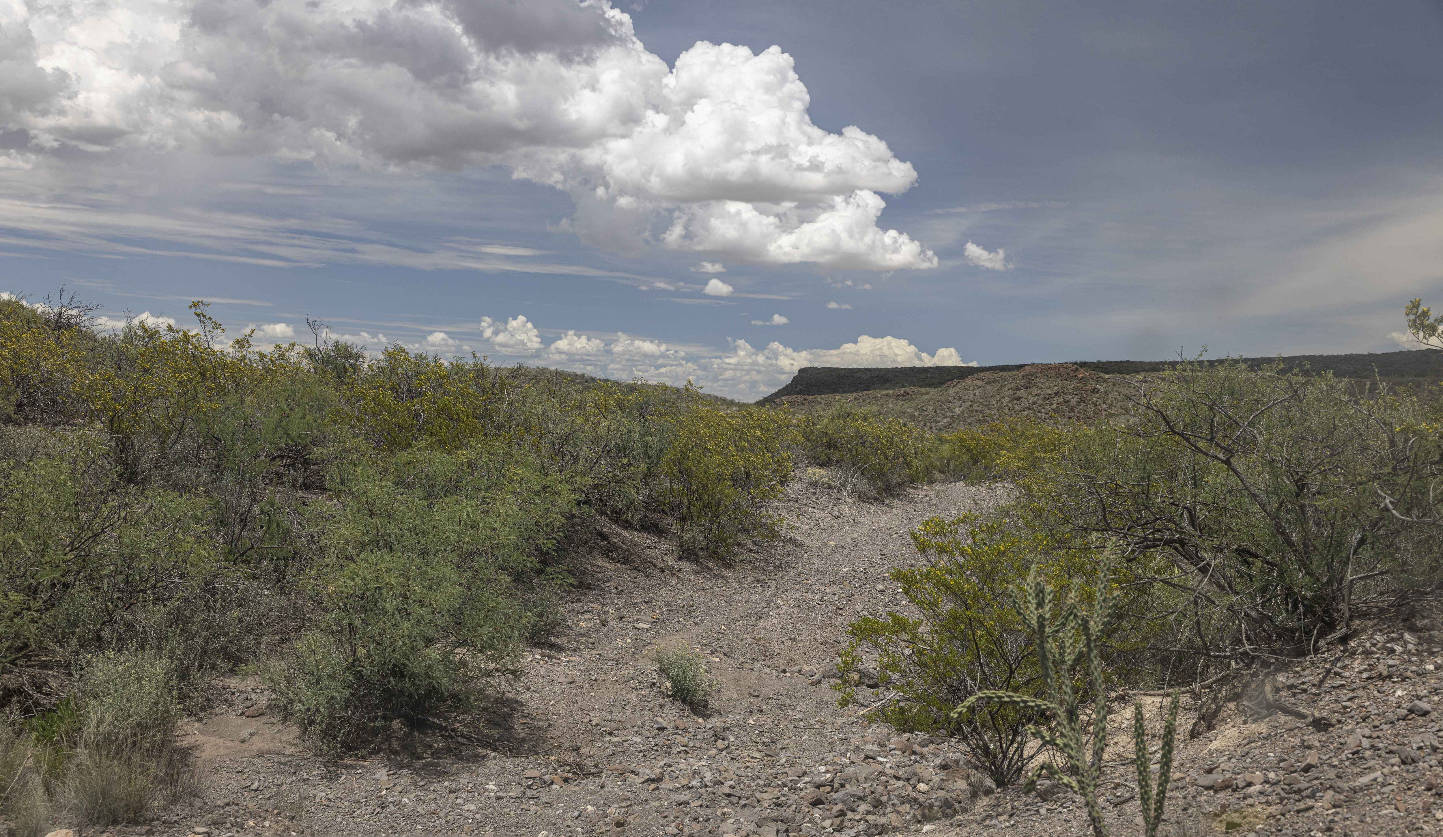 BBRSP Cerro Prietto Windmill Road