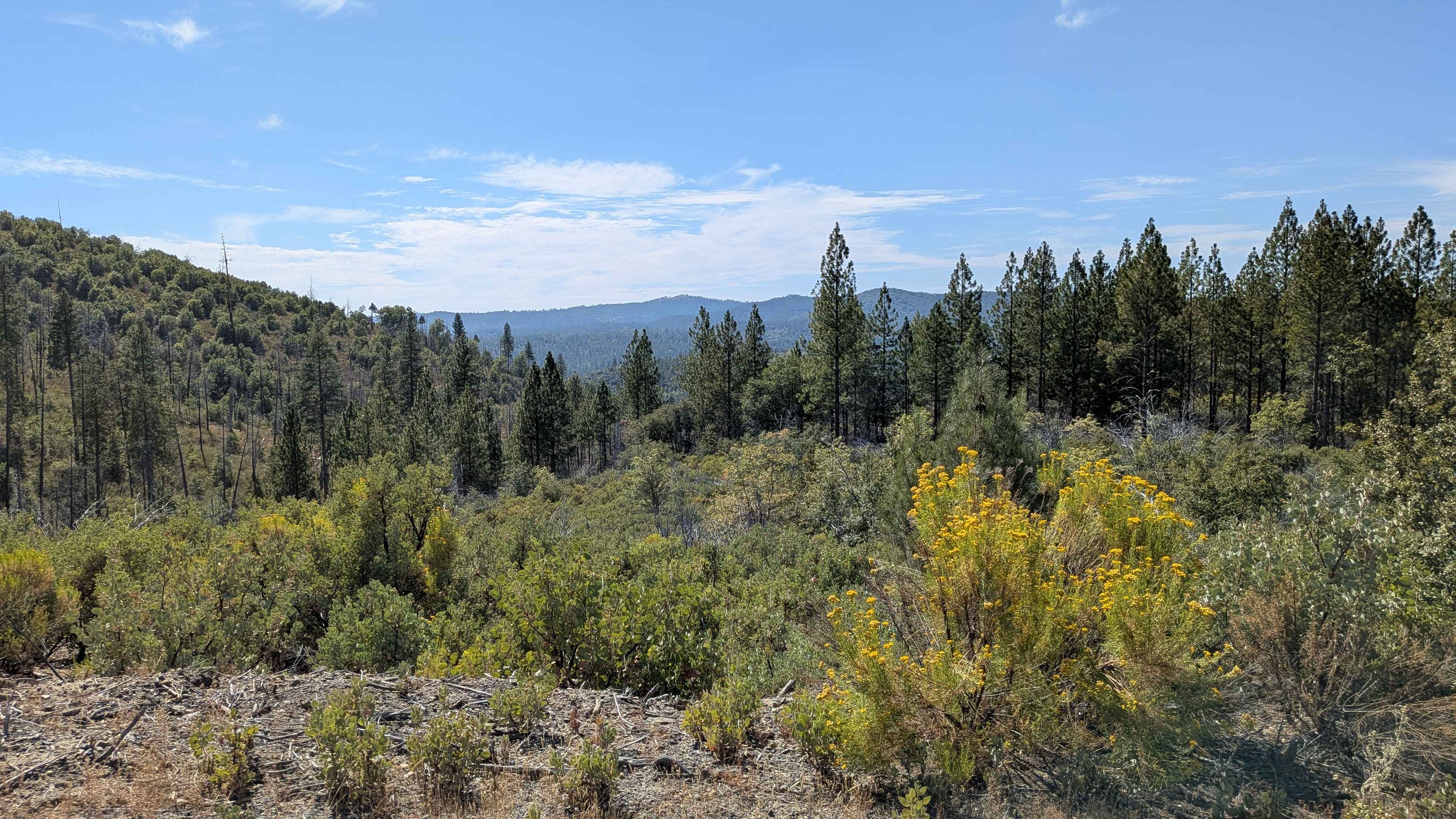 Moore Pilot Ridge - FS 2S14