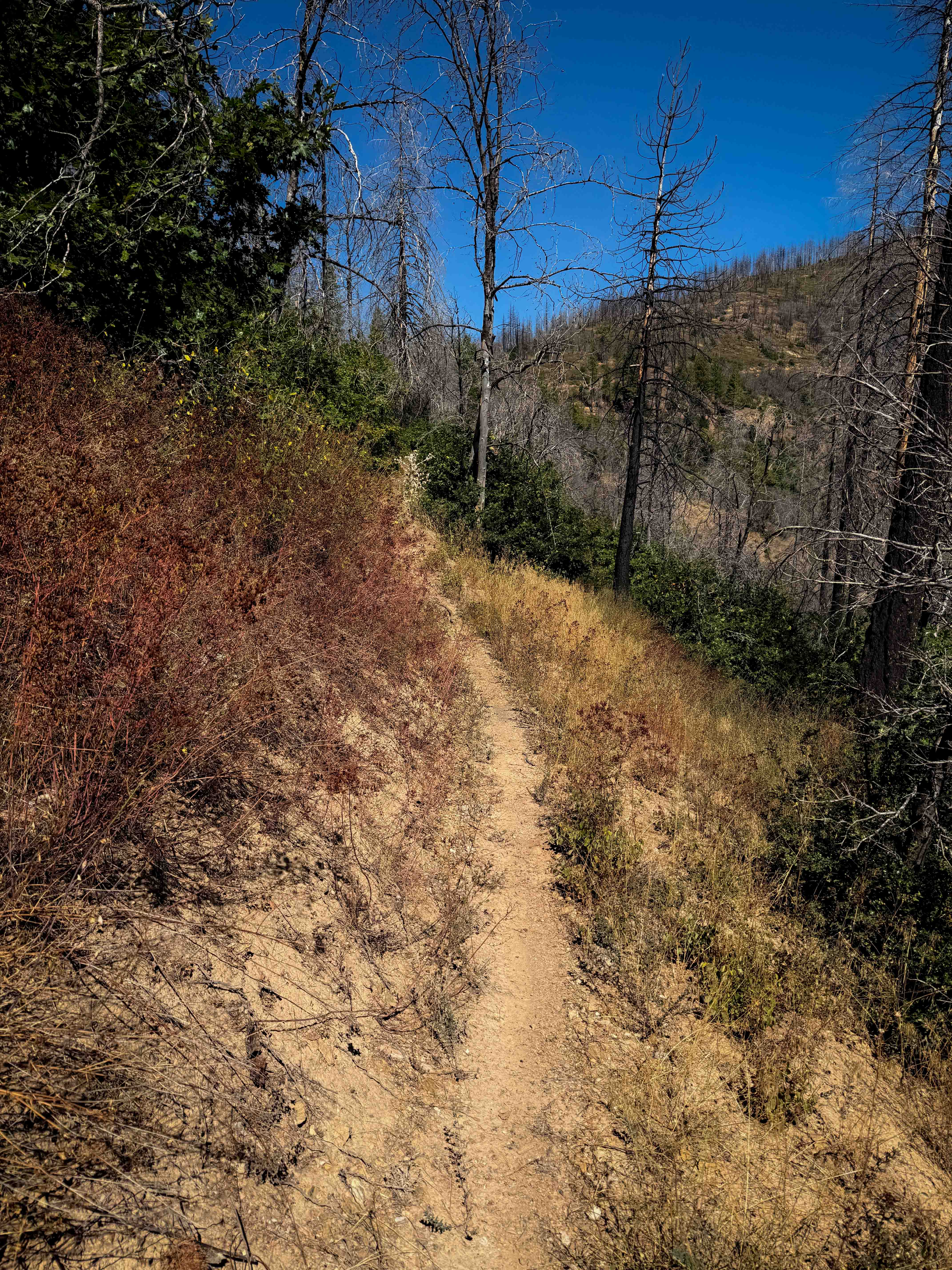 Lower Indian Falls Ridge