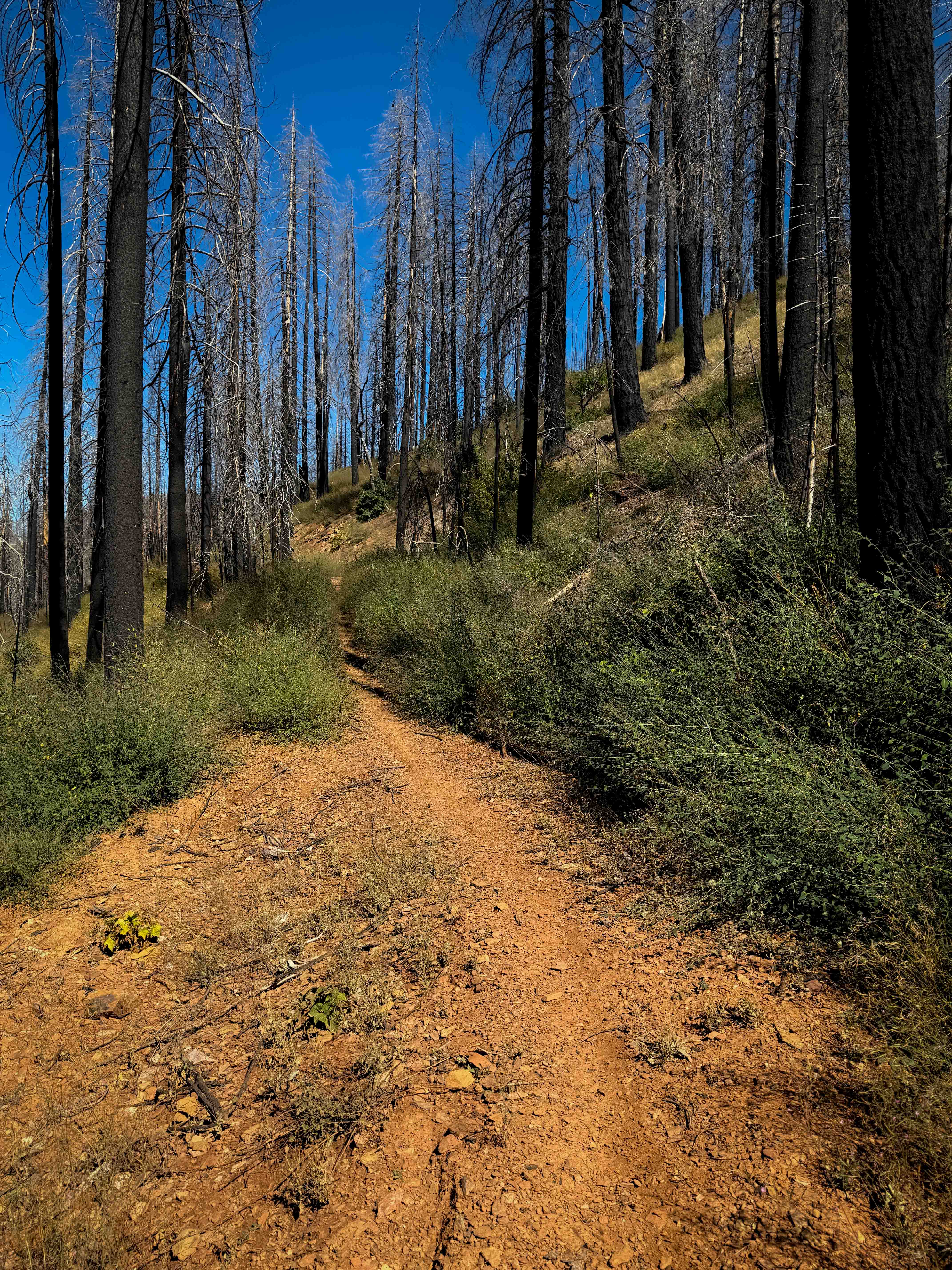 Lower Indian Falls Ridge