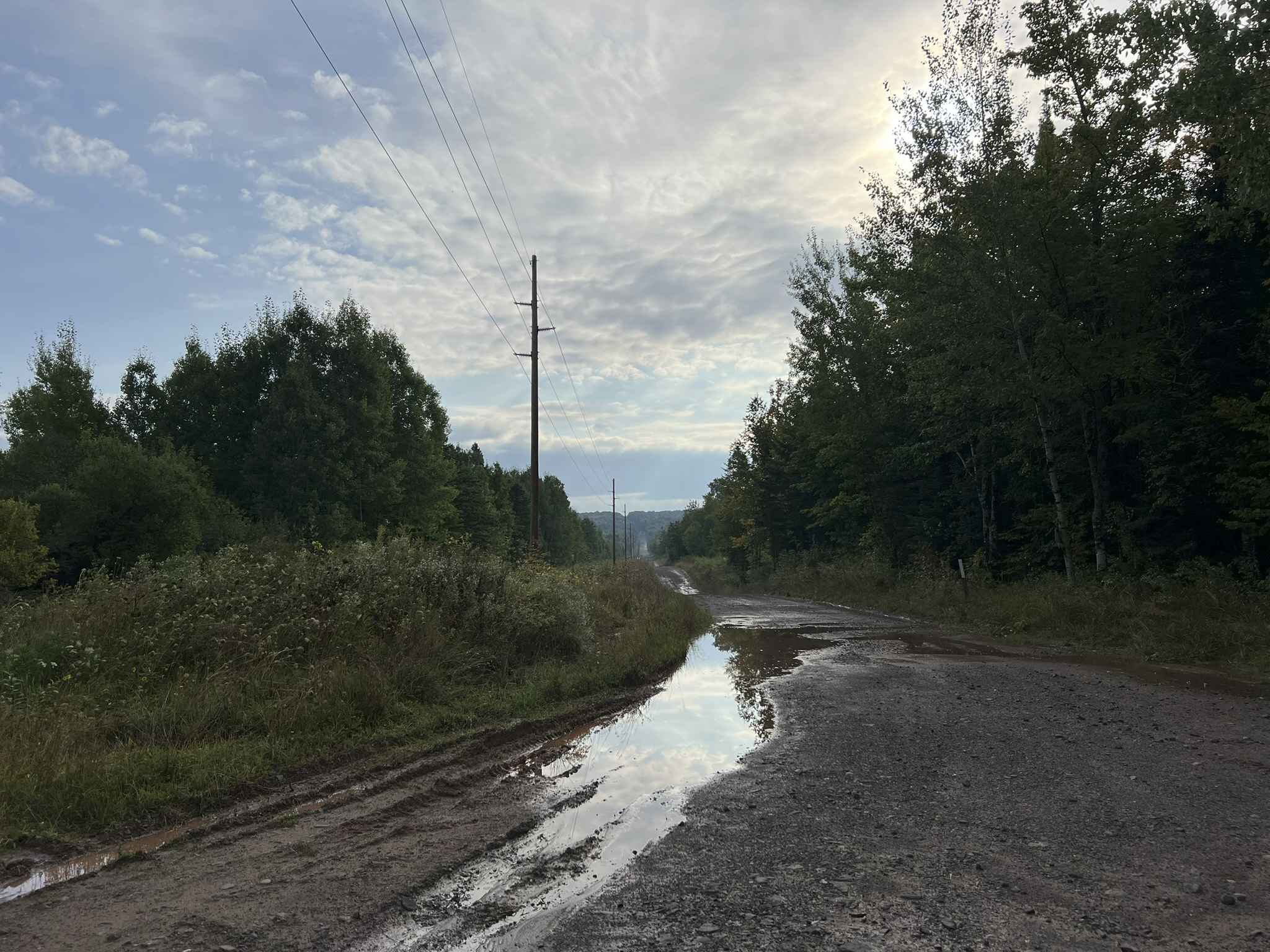 Trail P / Victoria Road