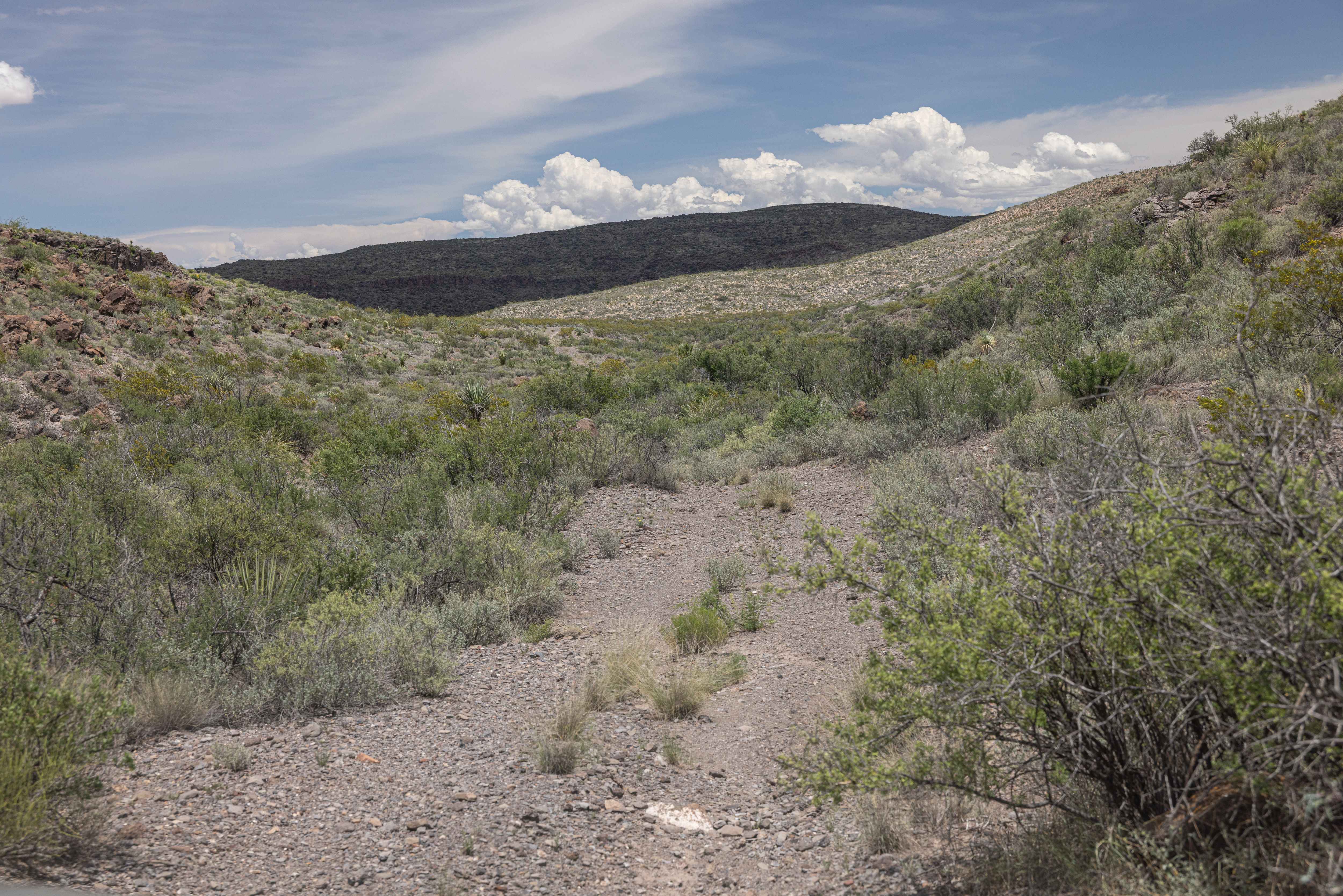 BBRSP Vasquez House Road