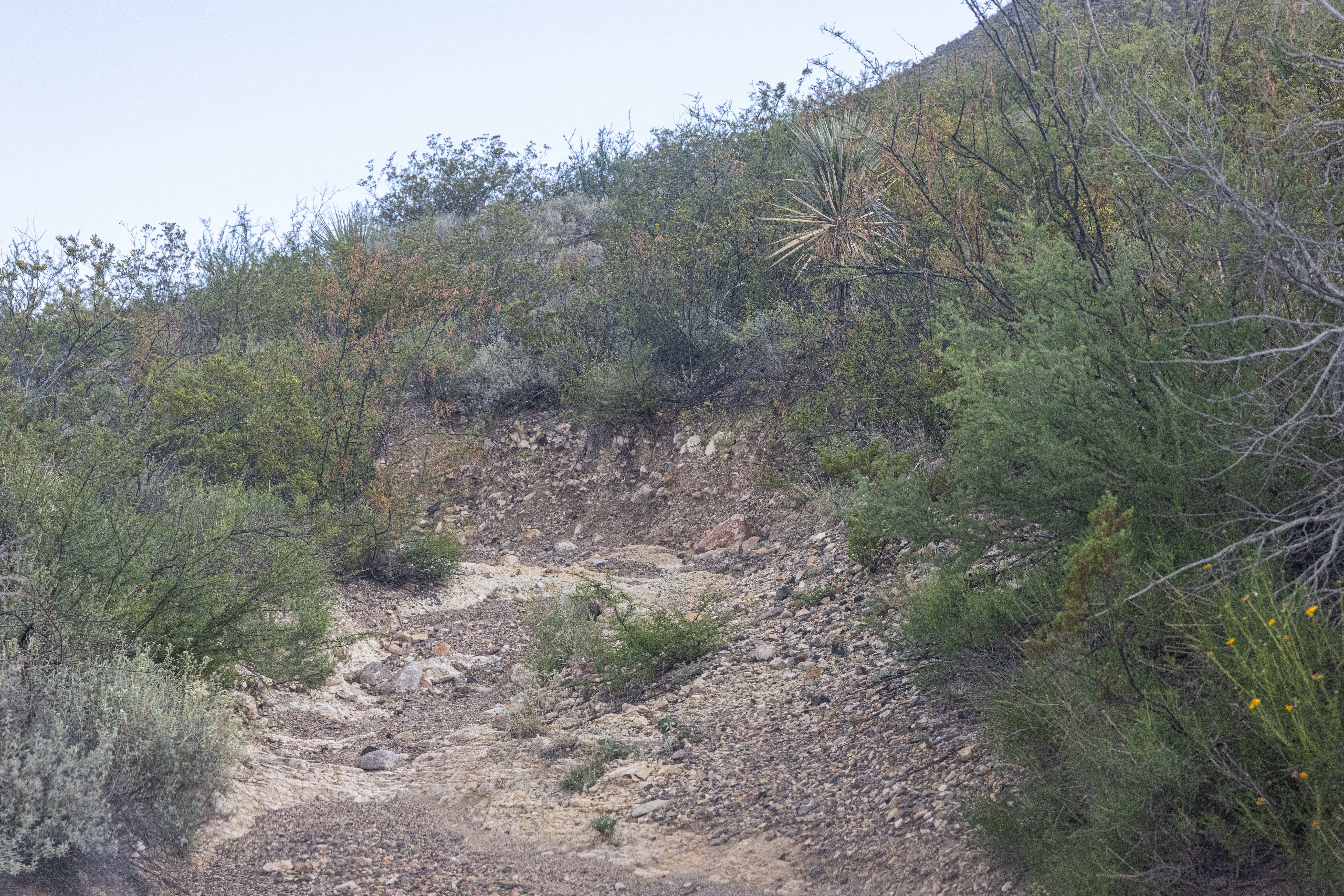 BBRSP Vasquez House Road