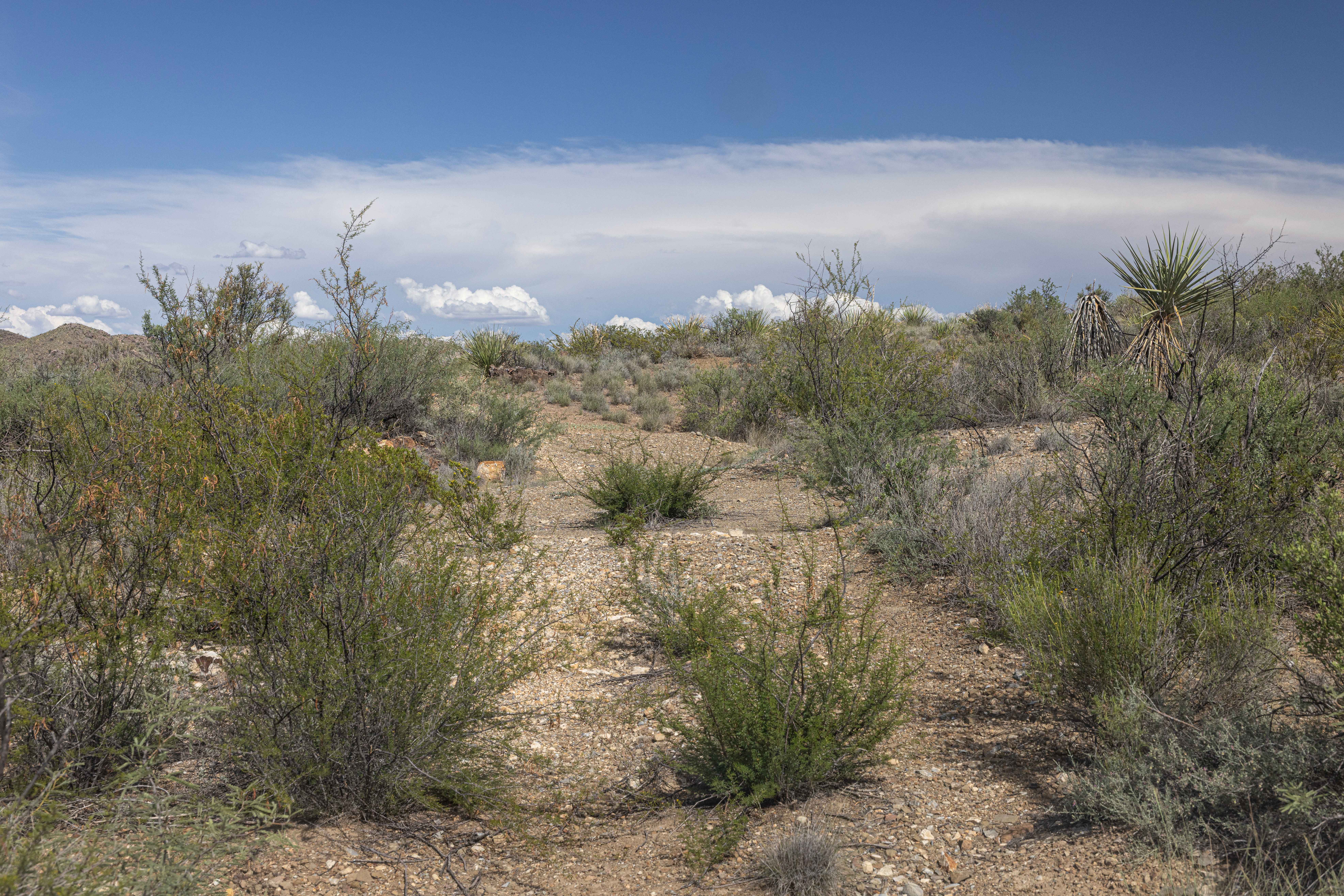 BBRSP Papalote de la Sierra