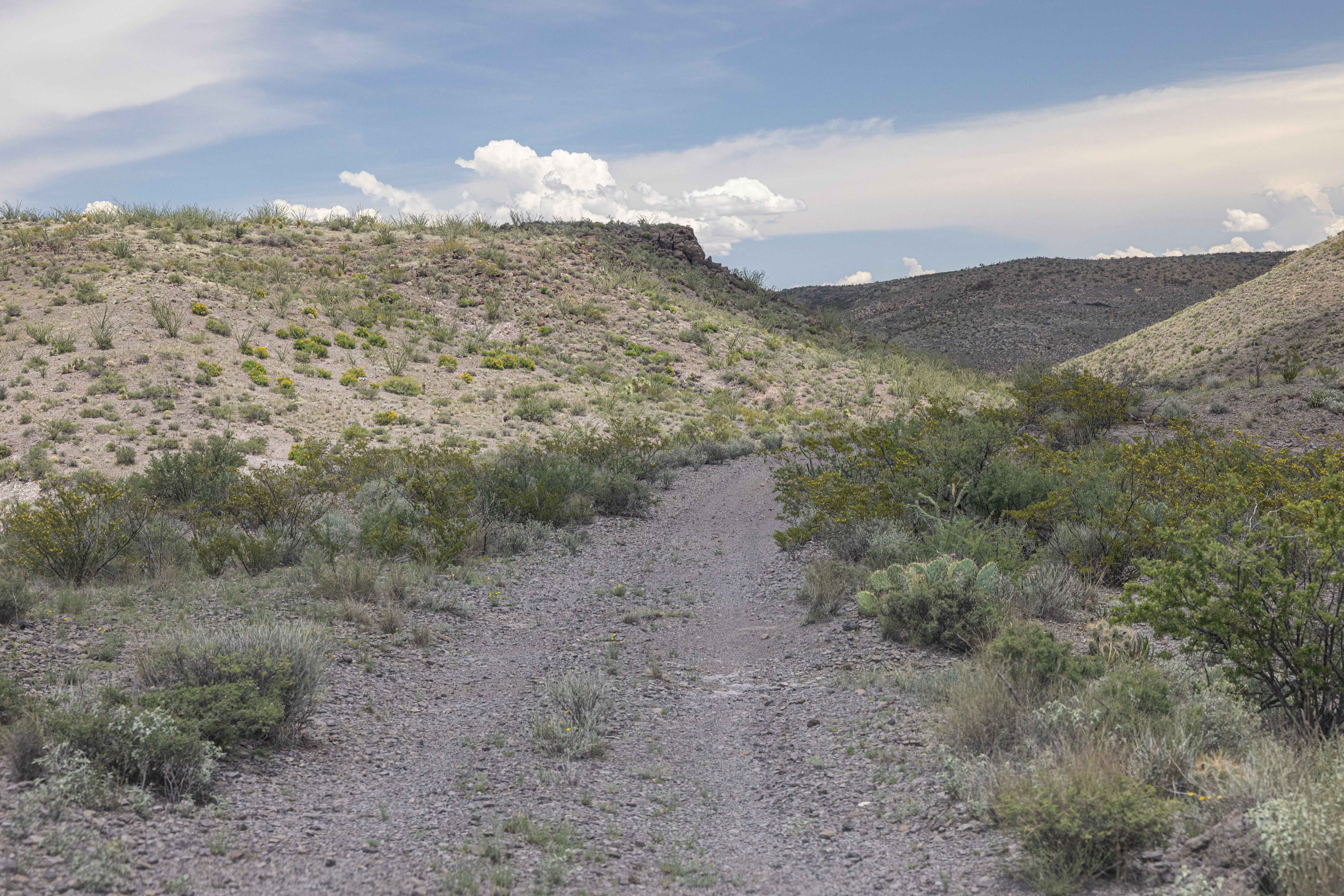 BBRSP Papalote de la Sierra