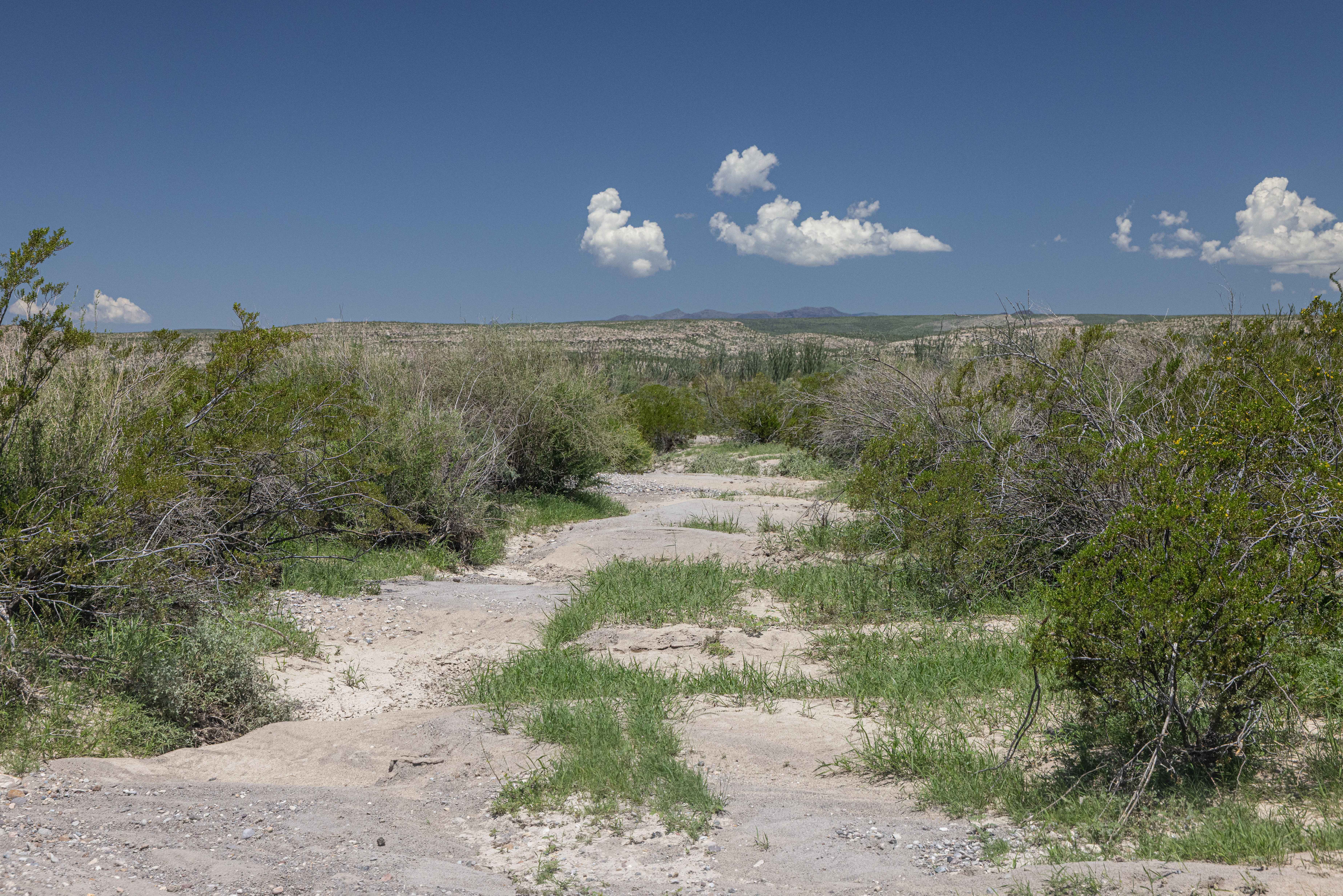 BBRSP Casa Ramon Trail