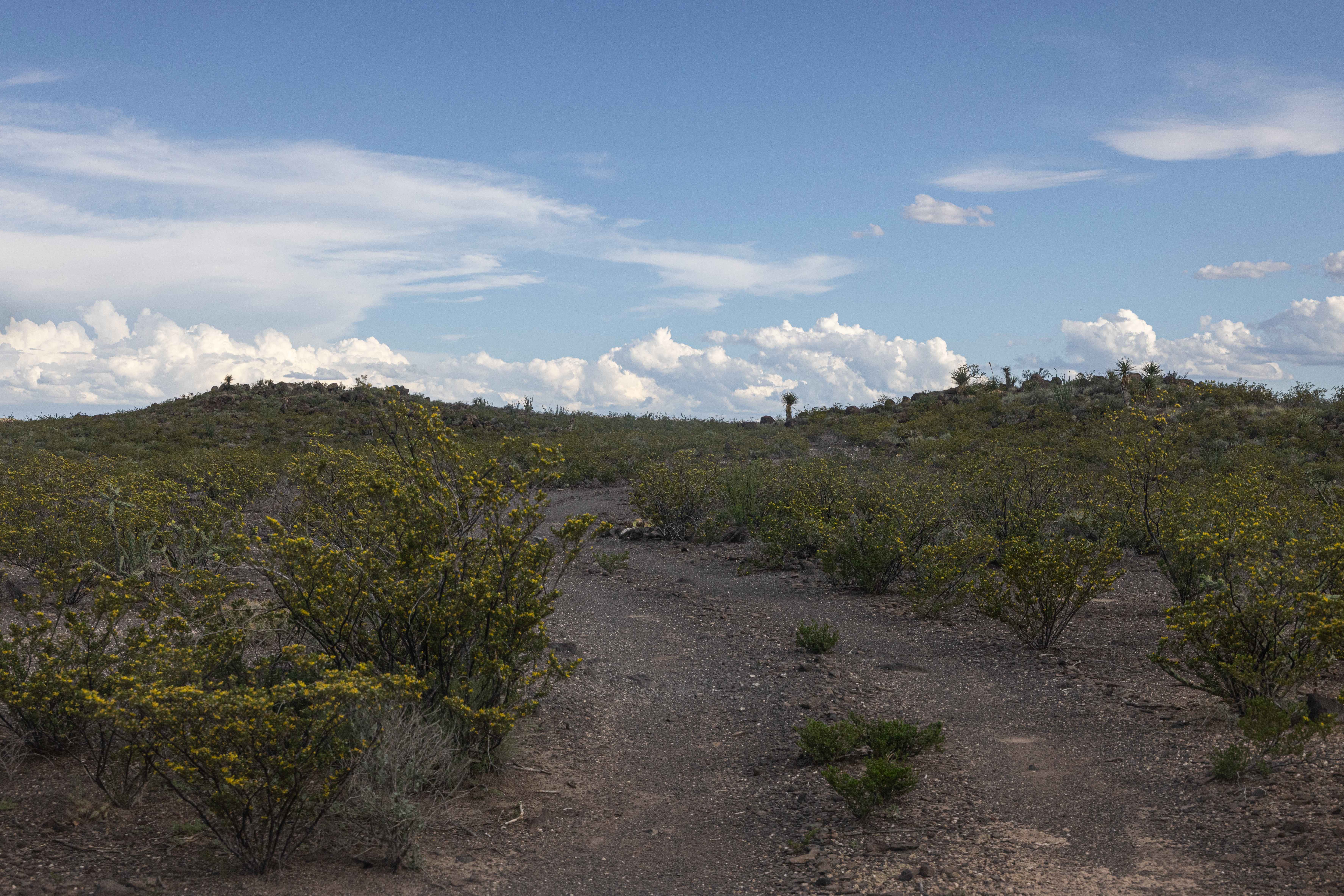 BBRSP Casa Ramon Trail