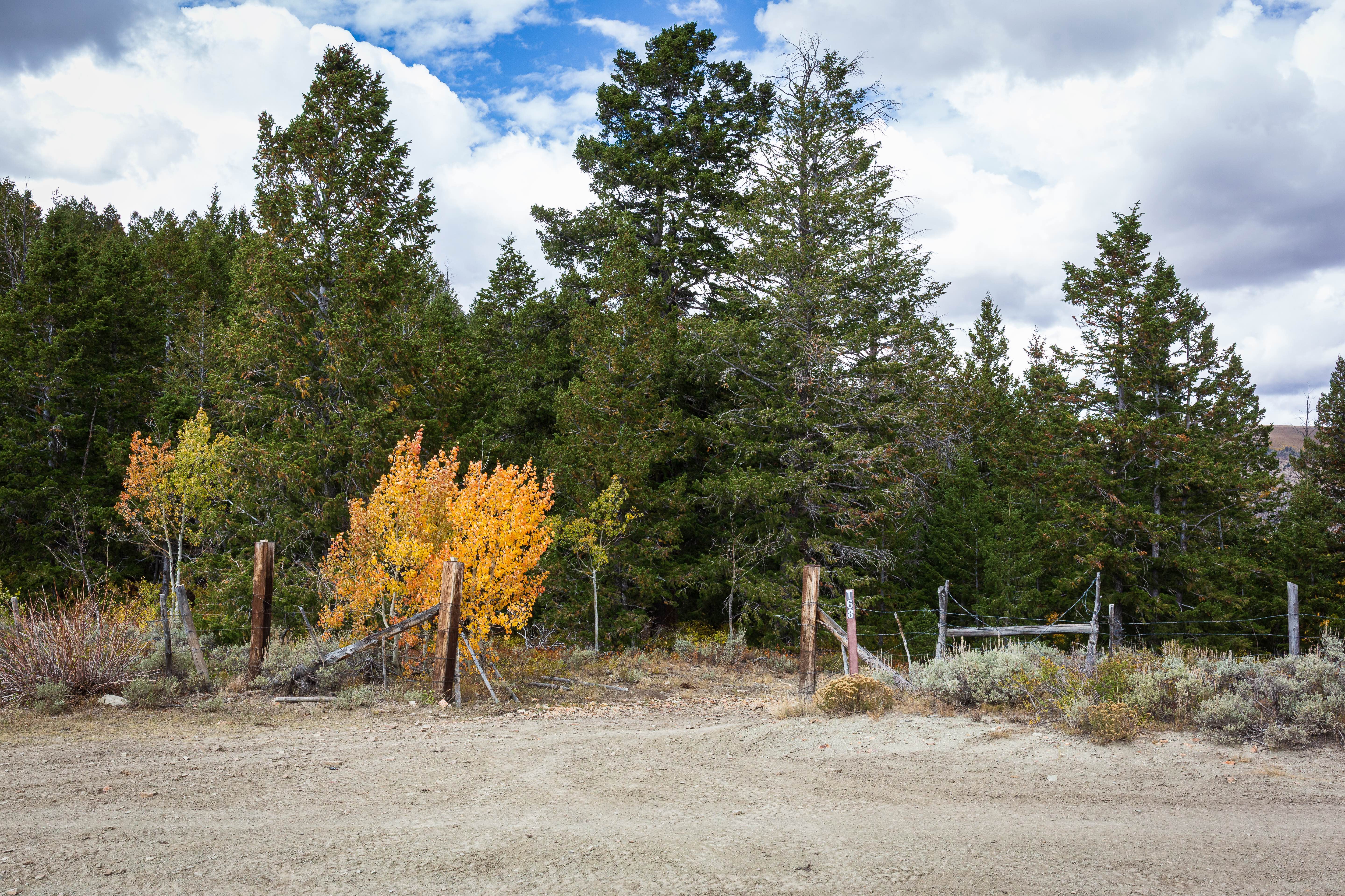 Water Hollow - FS 10168