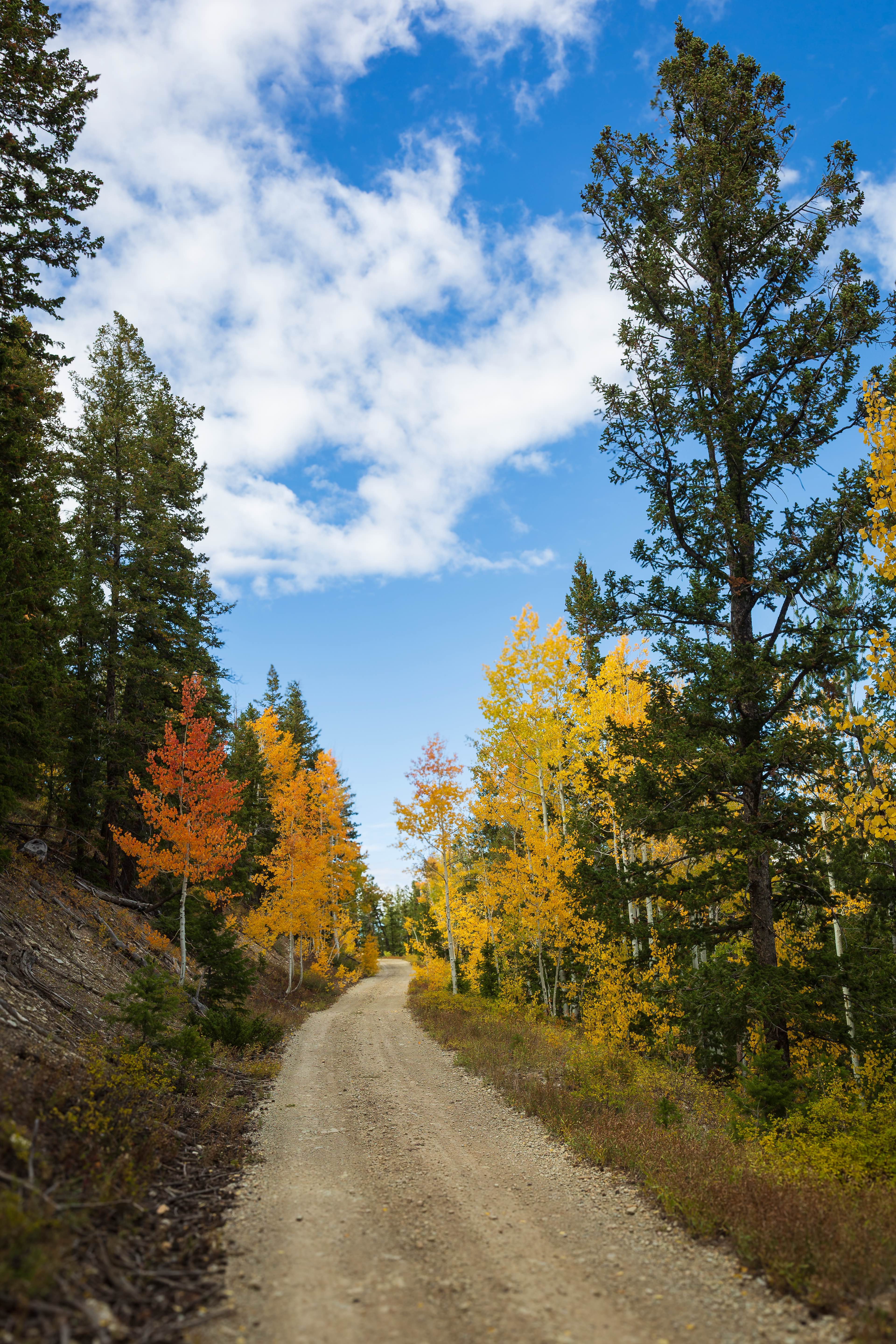 Long Ridge - FS 10148